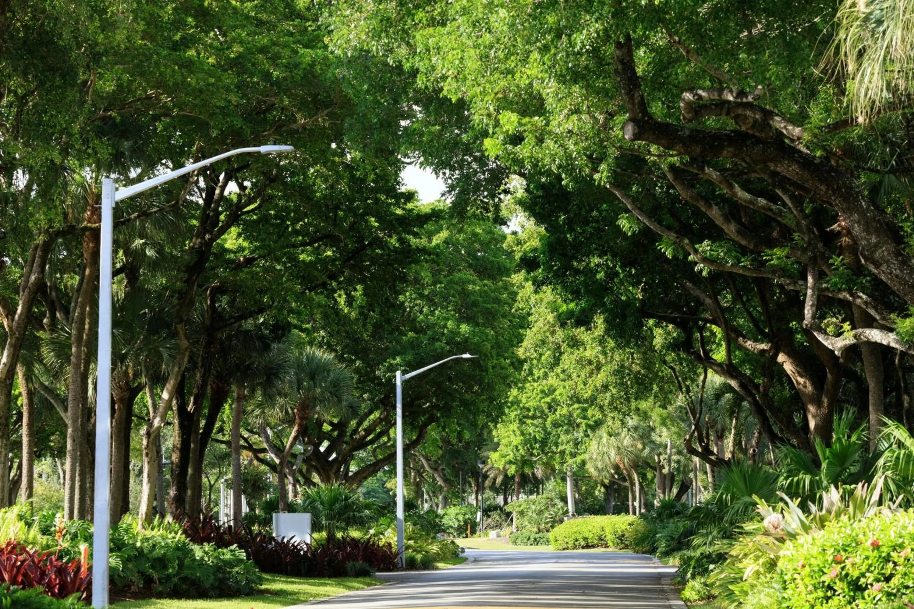 View (from property/room) in The Westin Fort Lauderdale