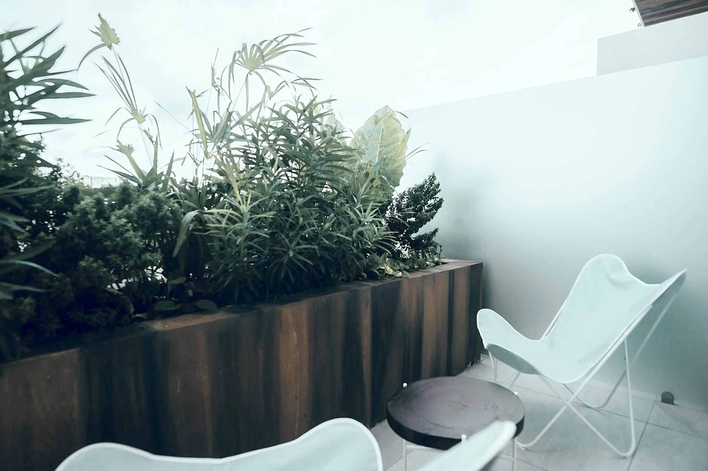 Balcony/Terrace in CALIXTA Hotel