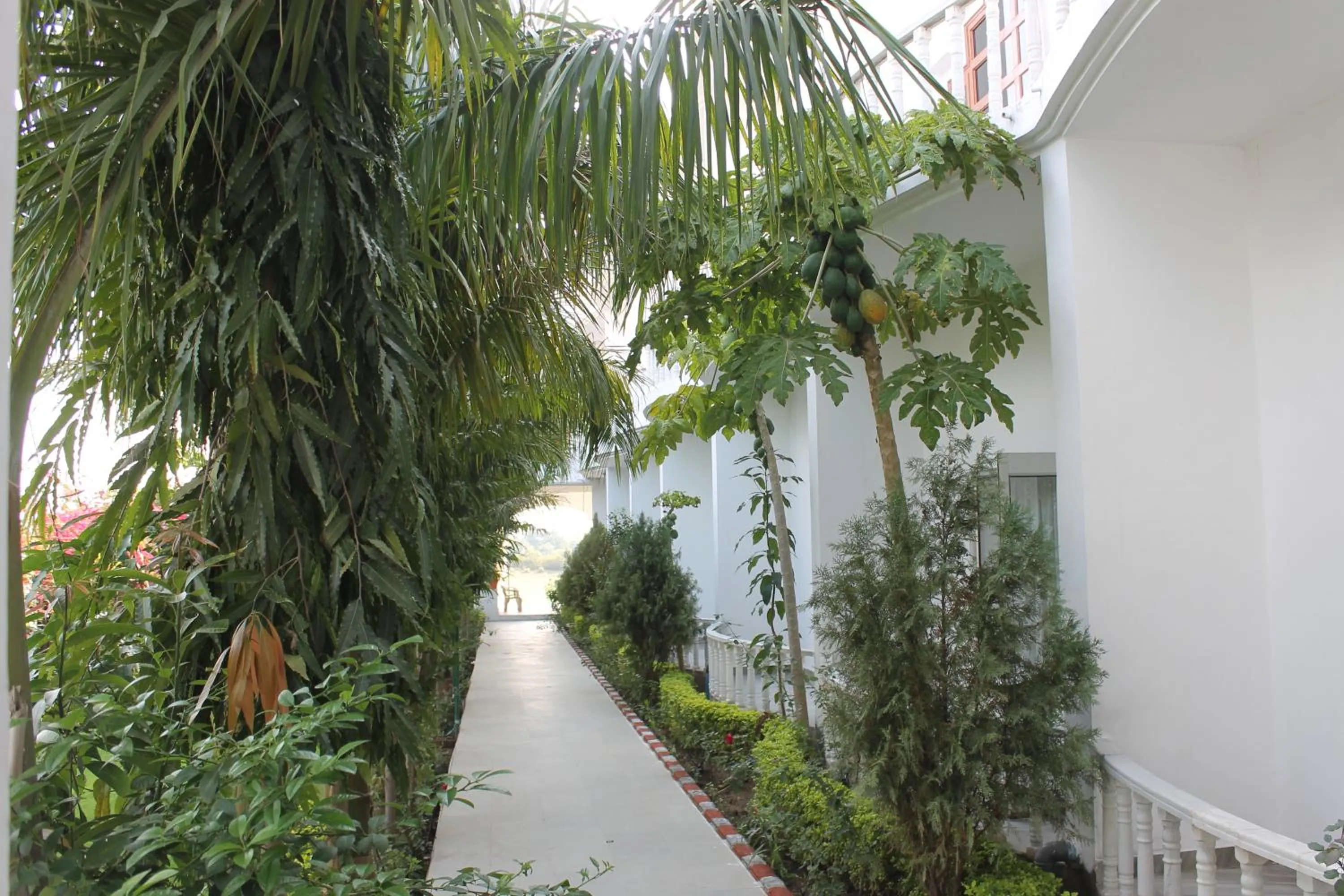 Garden in Hotel isabel Palace