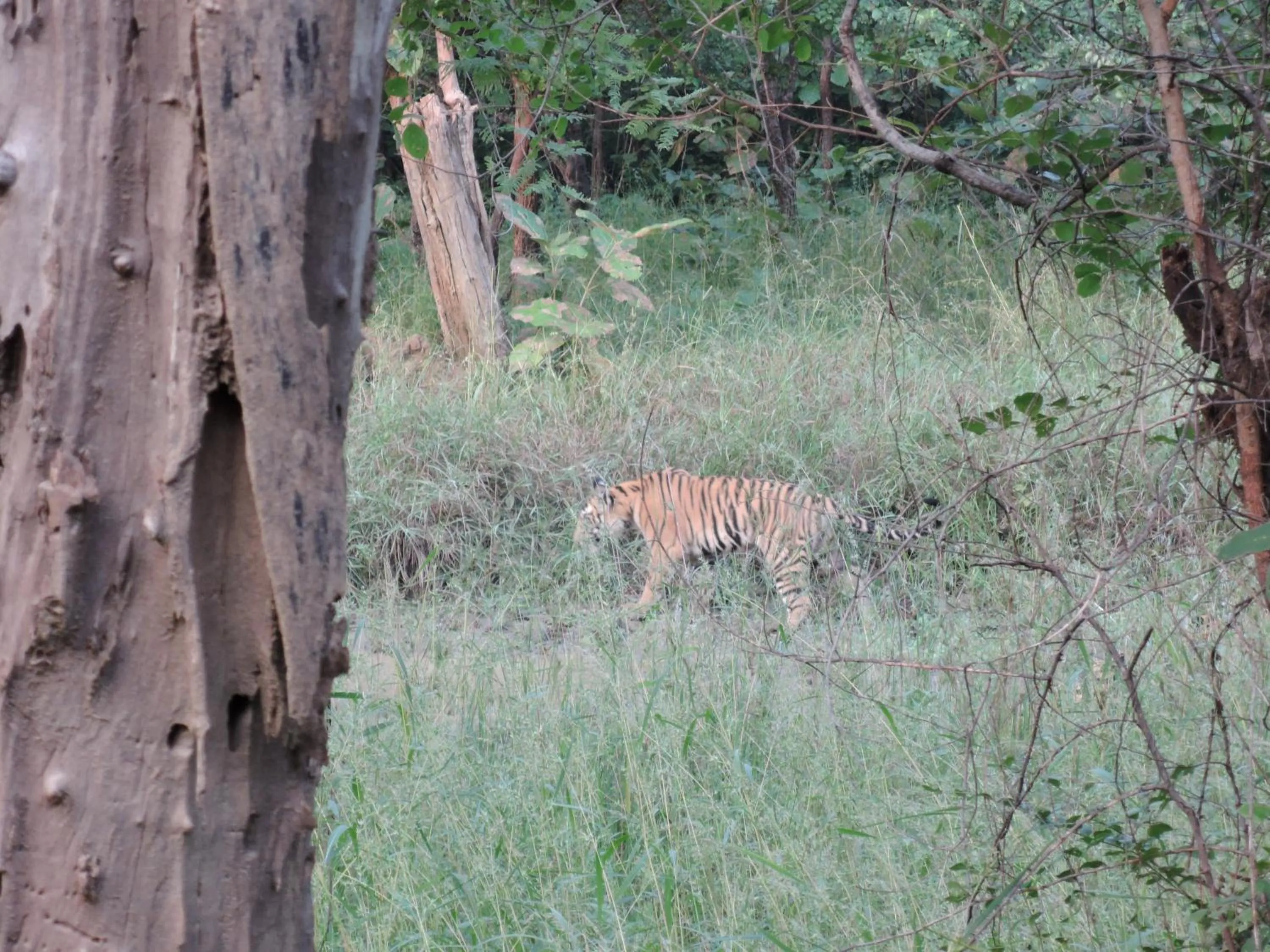 Off site in Hotel isabel Palace
