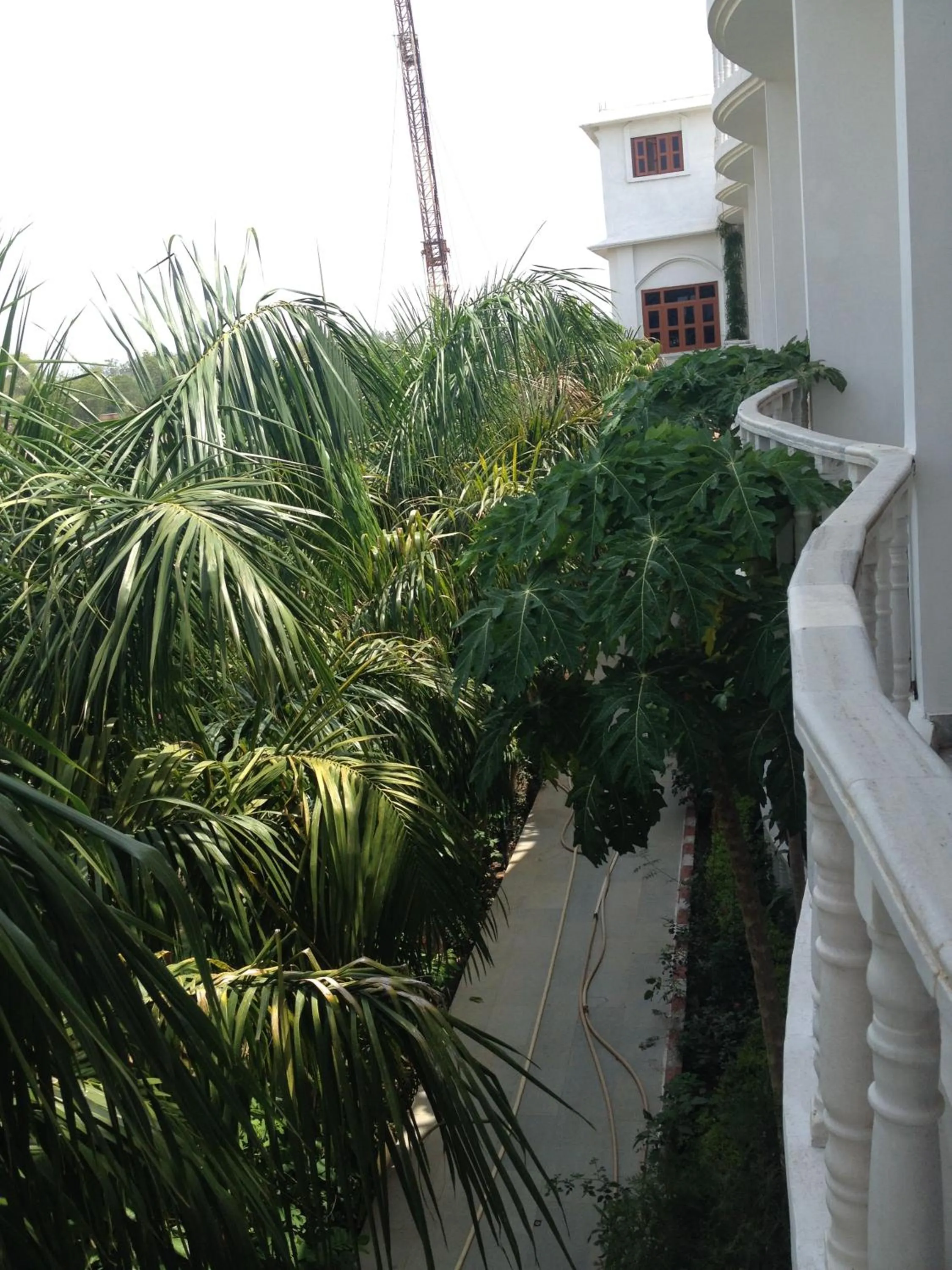 View (from property/room) in Hotel isabel Palace