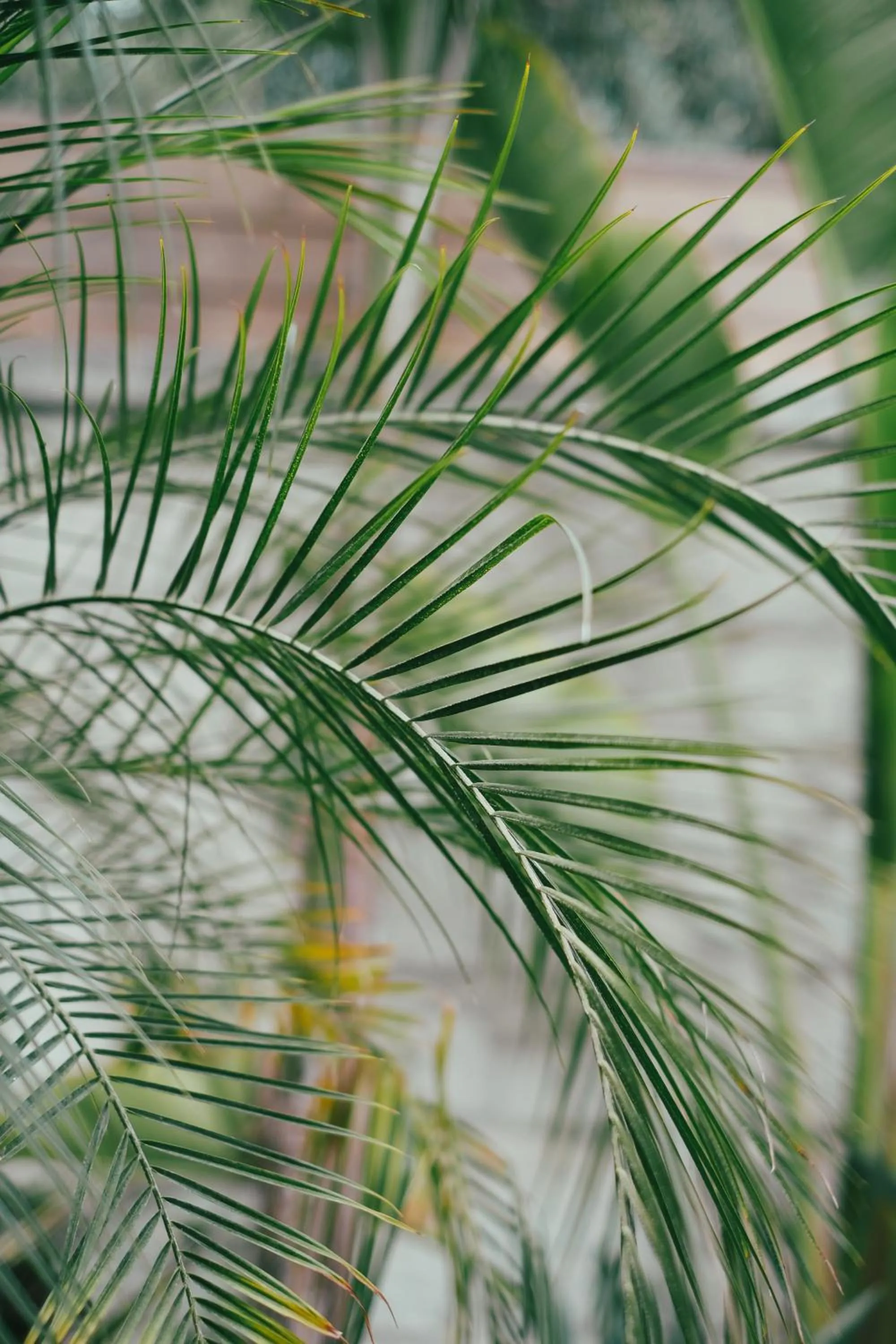 Decorative detail in Derin Alacati