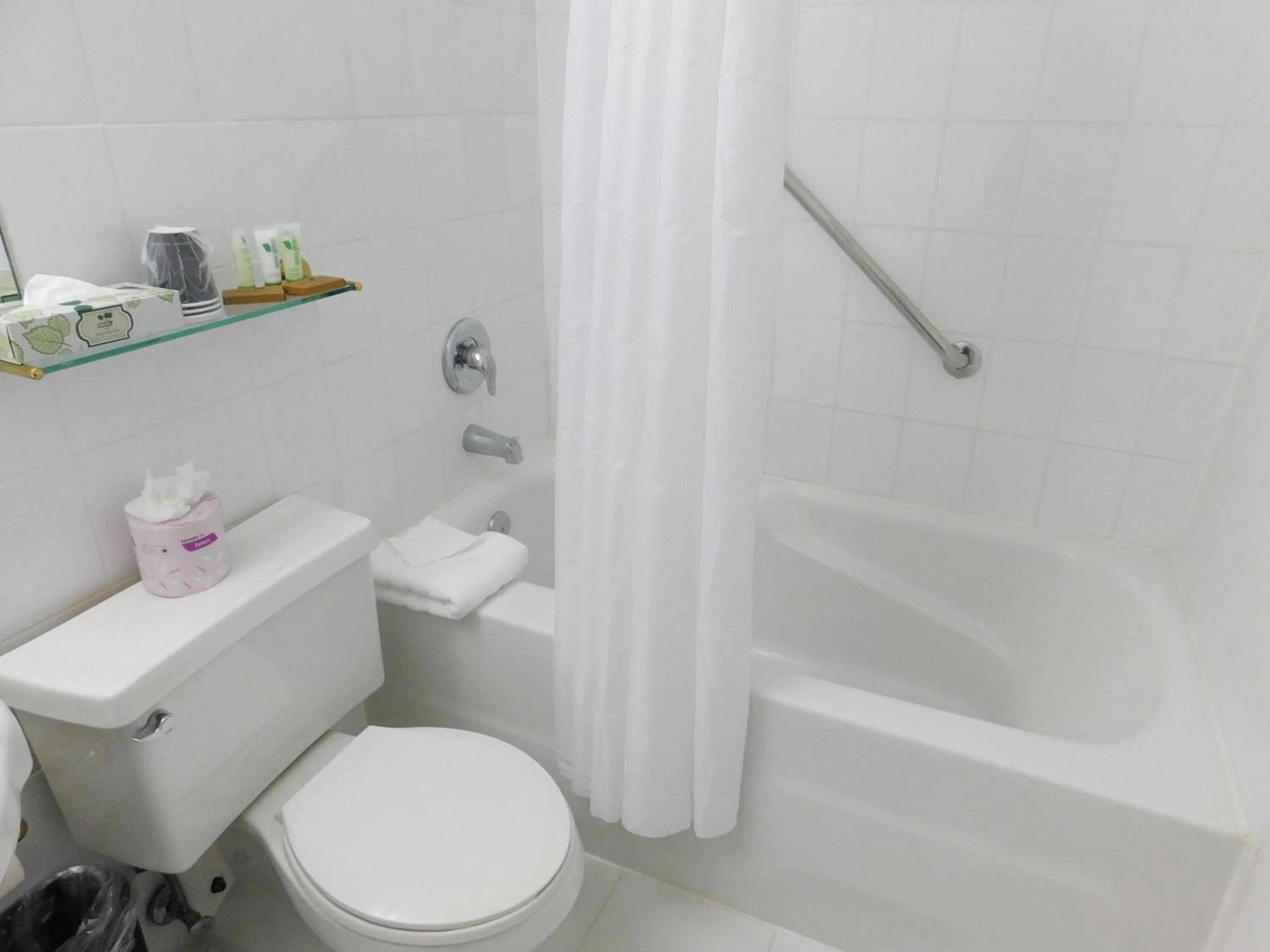 Shower in Meadowlands View Hotel