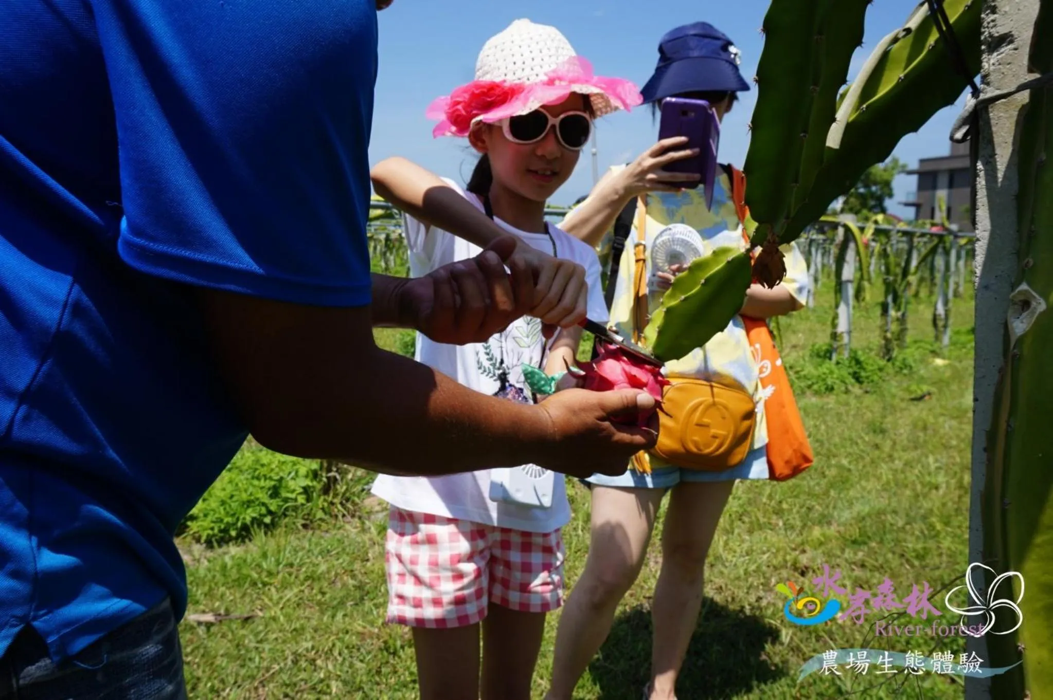 Activities in River Forest Leisure Farm