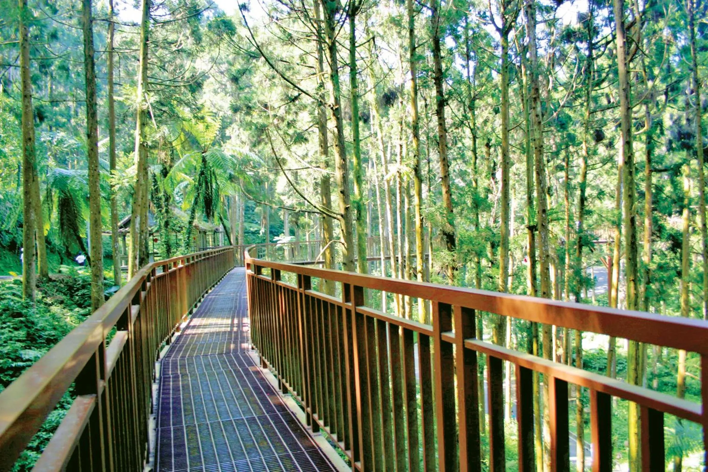 Nearby landmark in Shante Hotel Shitou