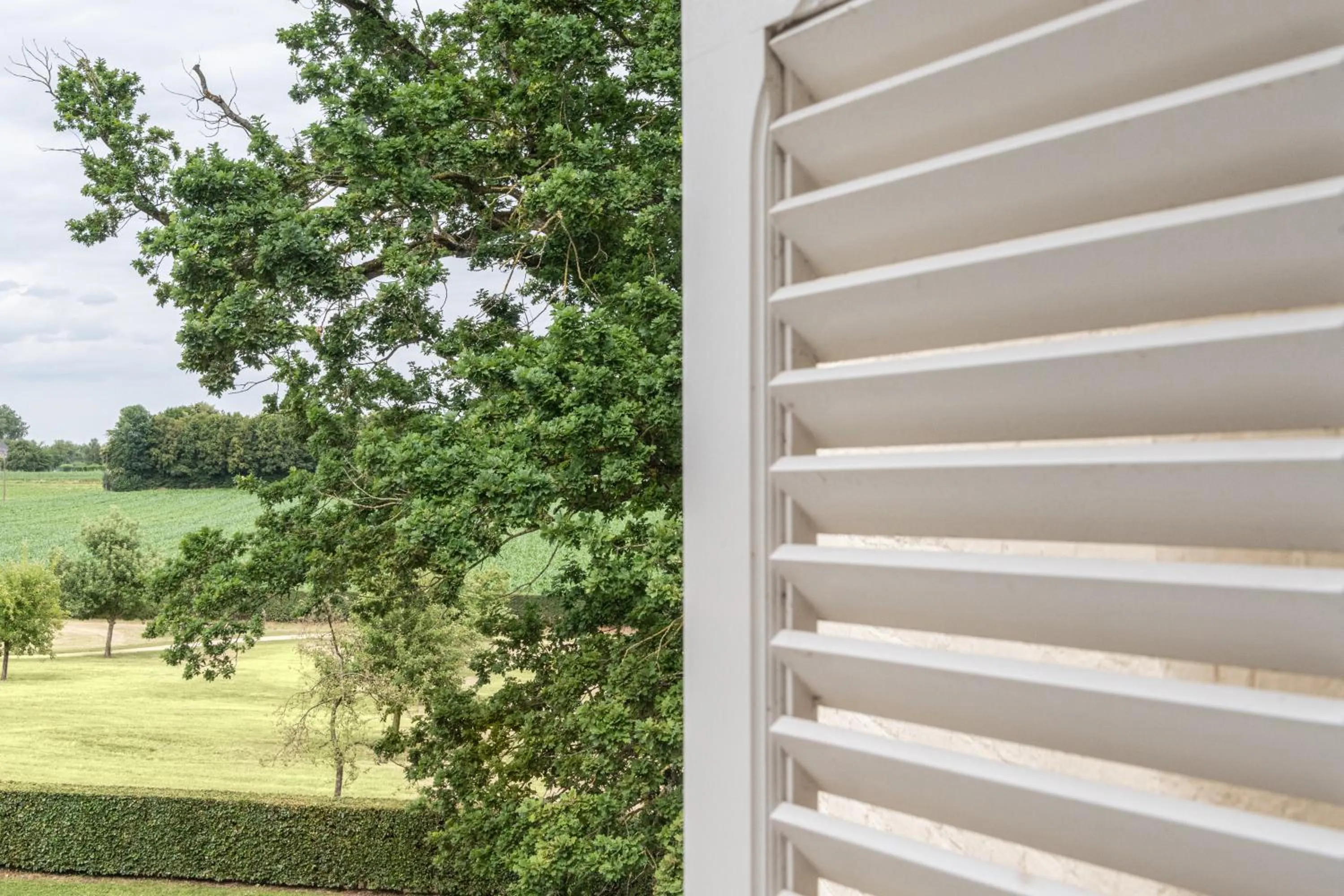 B&B T'Rest - Park ter Rijst