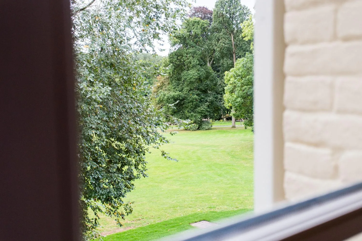 Garden in B&B T'Rest - Park ter Rijst