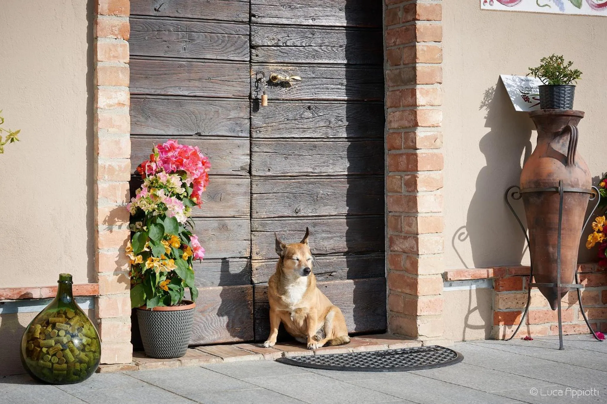 Agriturismo Cascina Sciulun