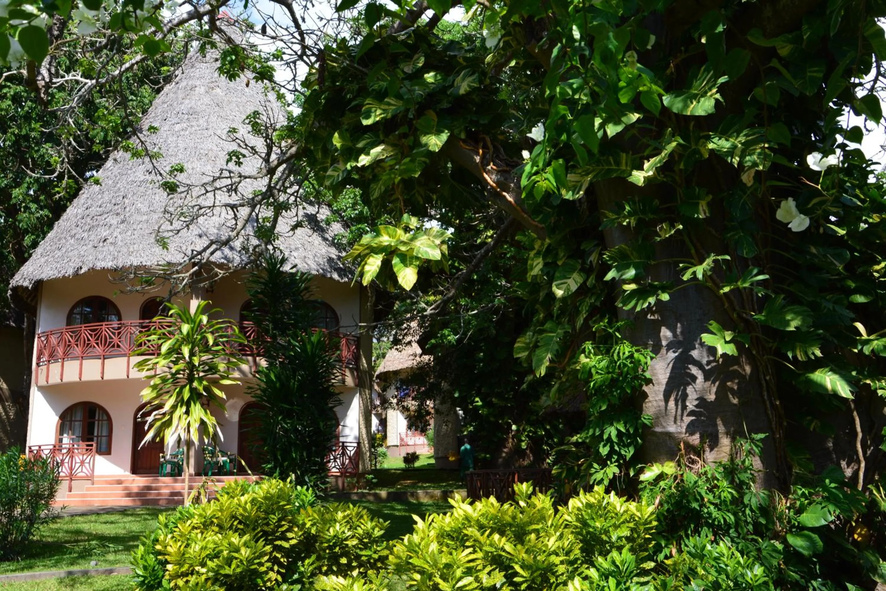 Garden view in Neptune Paradise Beach Resort & Spa - All Inclusive