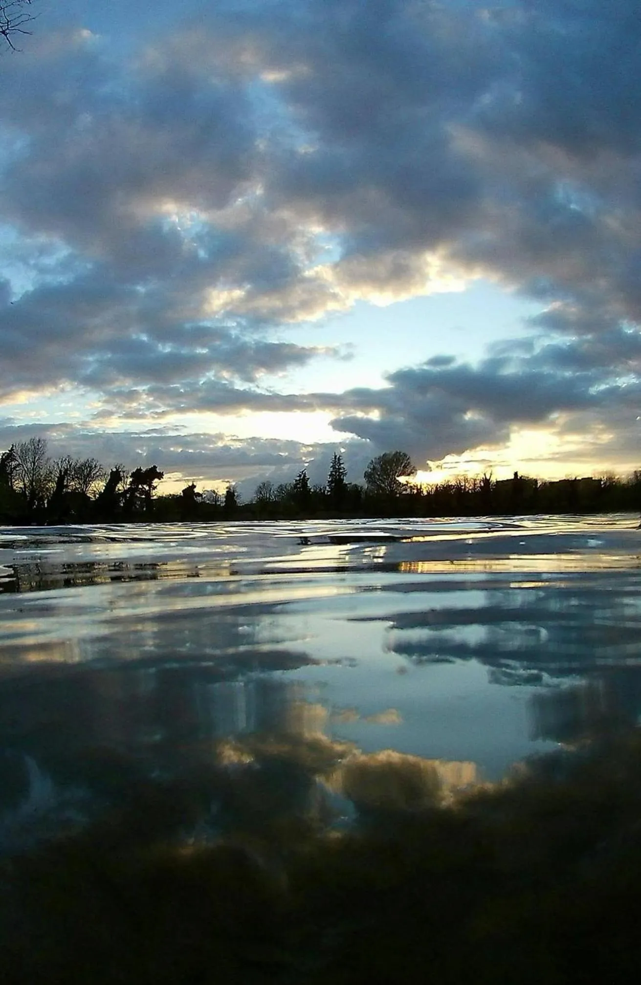 Natural landscape in Hotel Del Lago