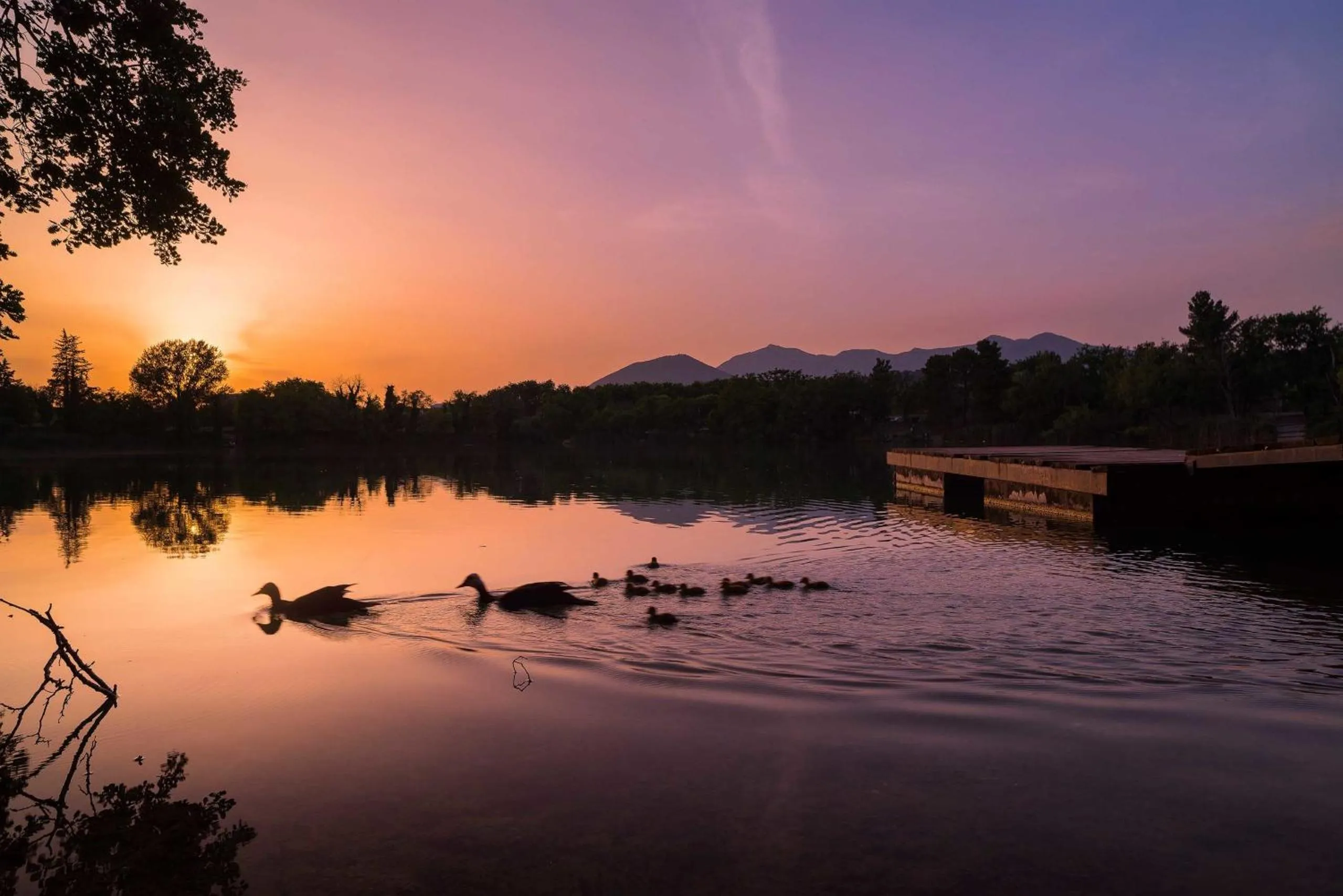 Natural landscape in Hotel Del Lago