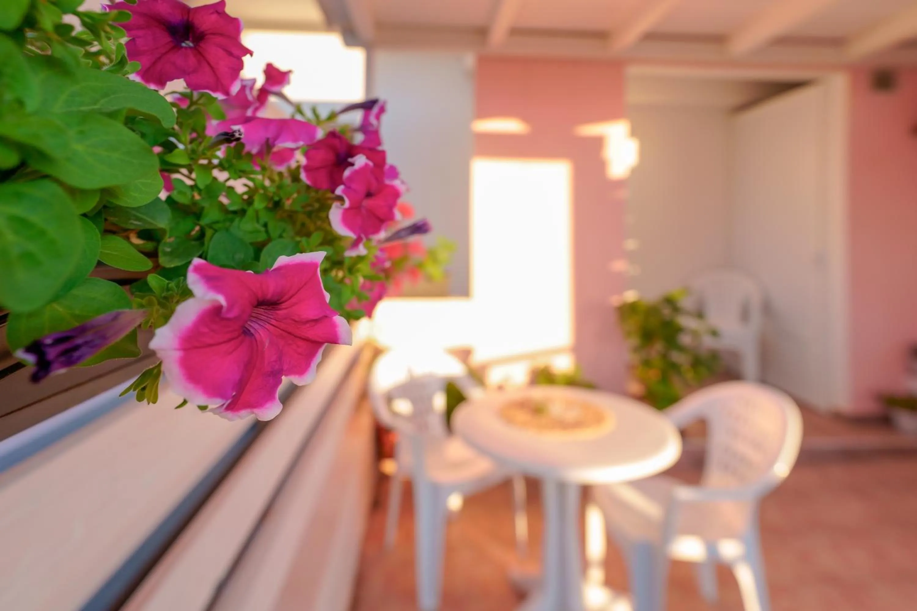 Balcony/Terrace in Nùe Rooms