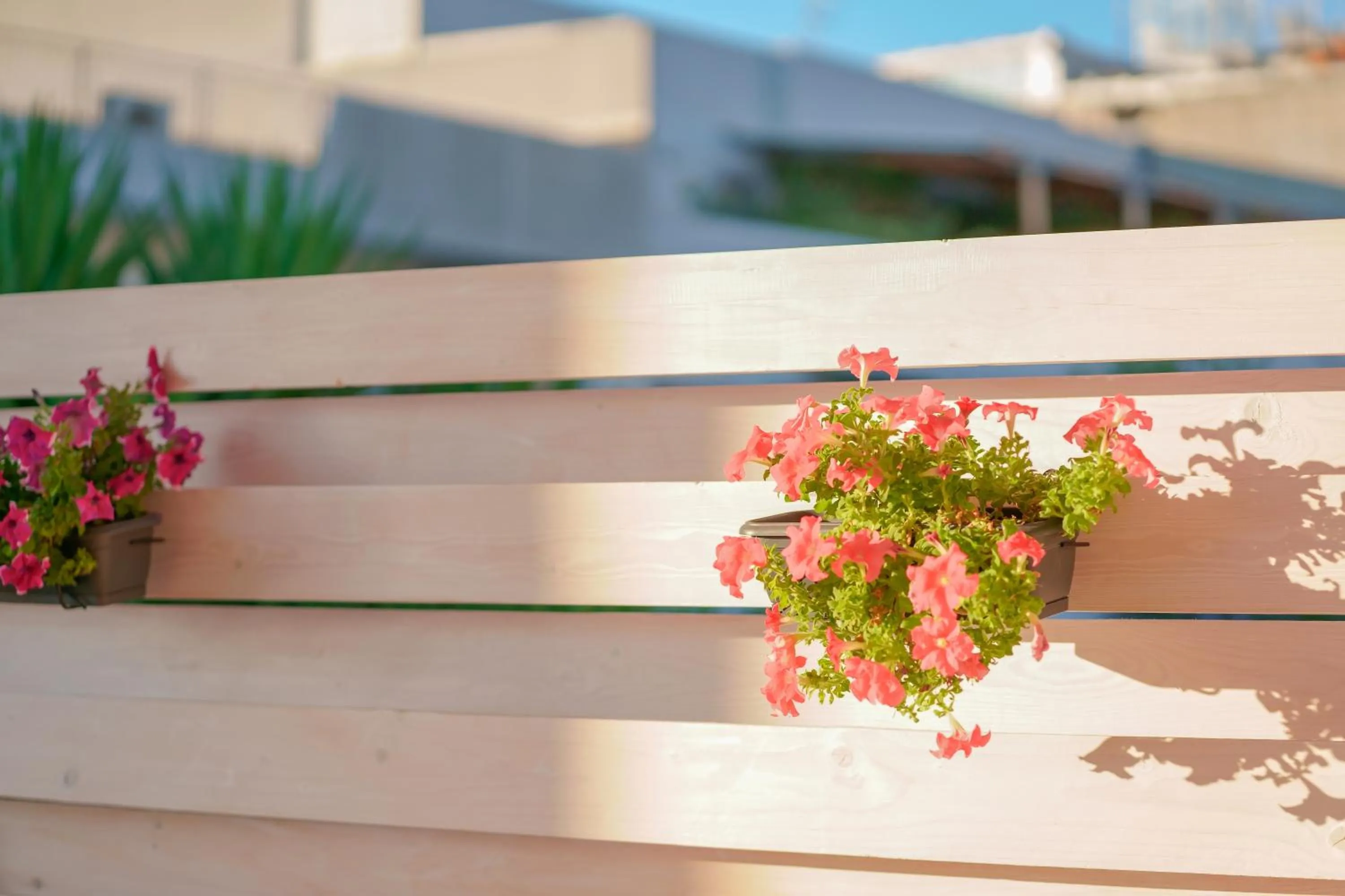 Spring in Nùe Rooms