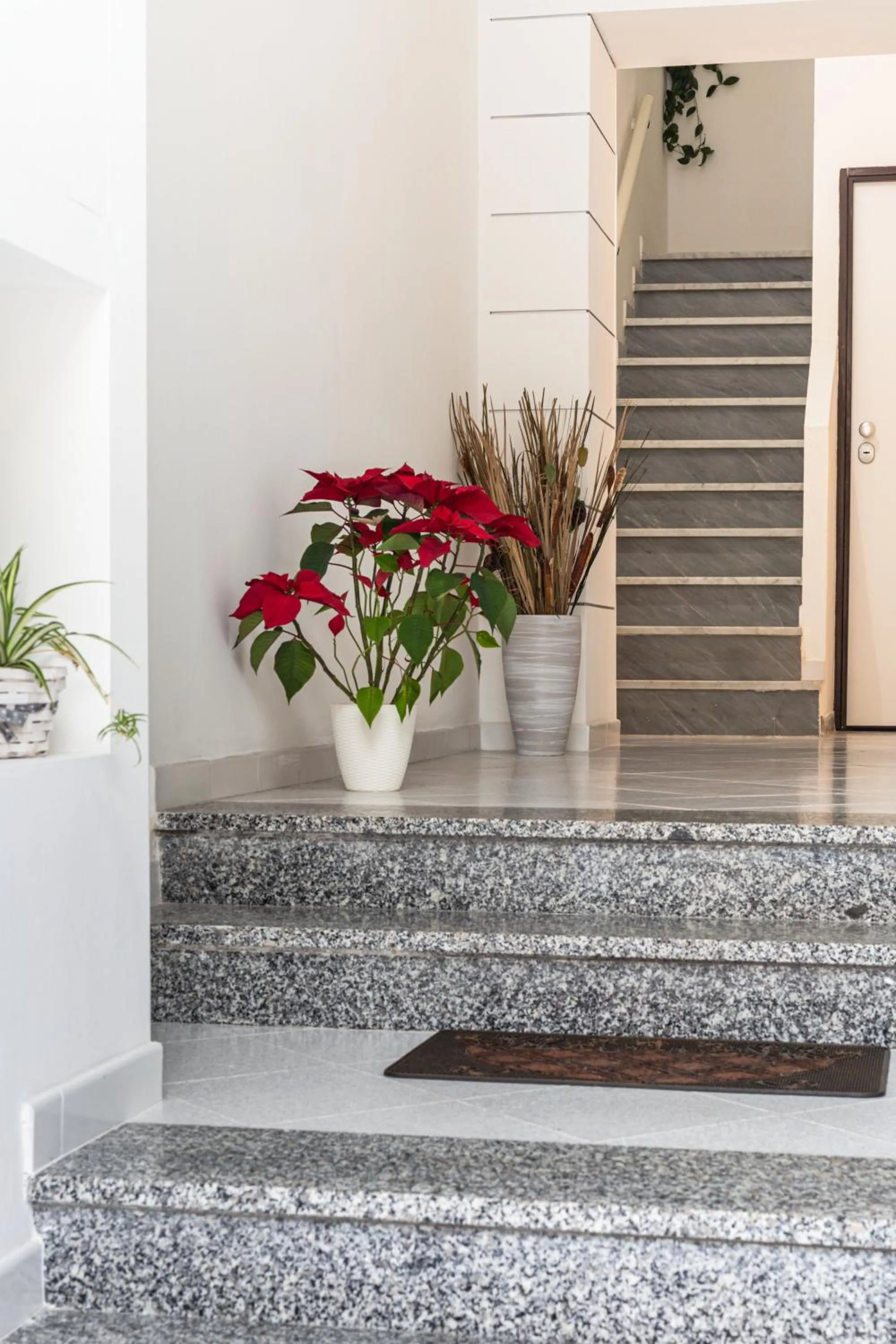 Facade/entrance in Nùe Rooms