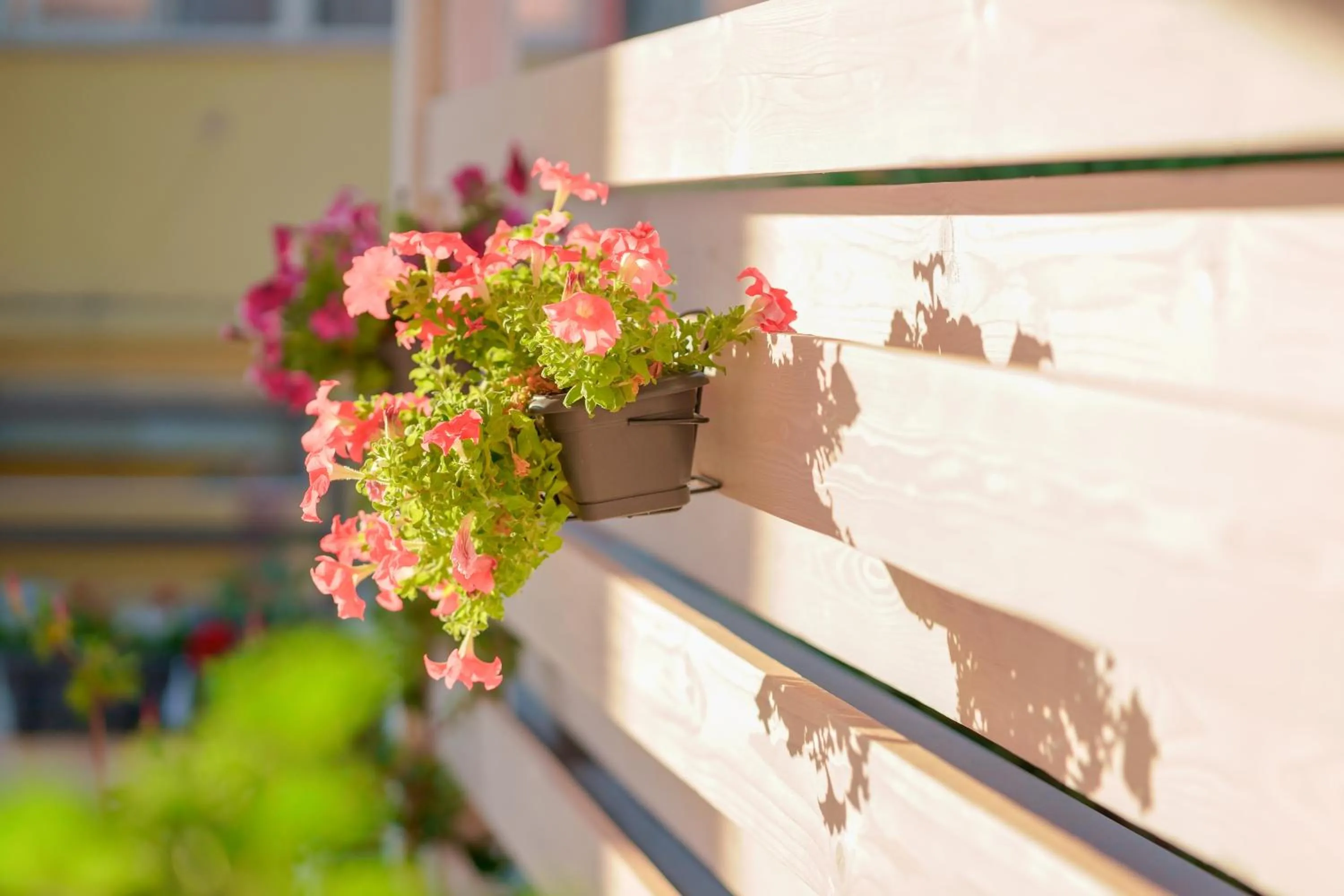Balcony/Terrace in Nùe Rooms
