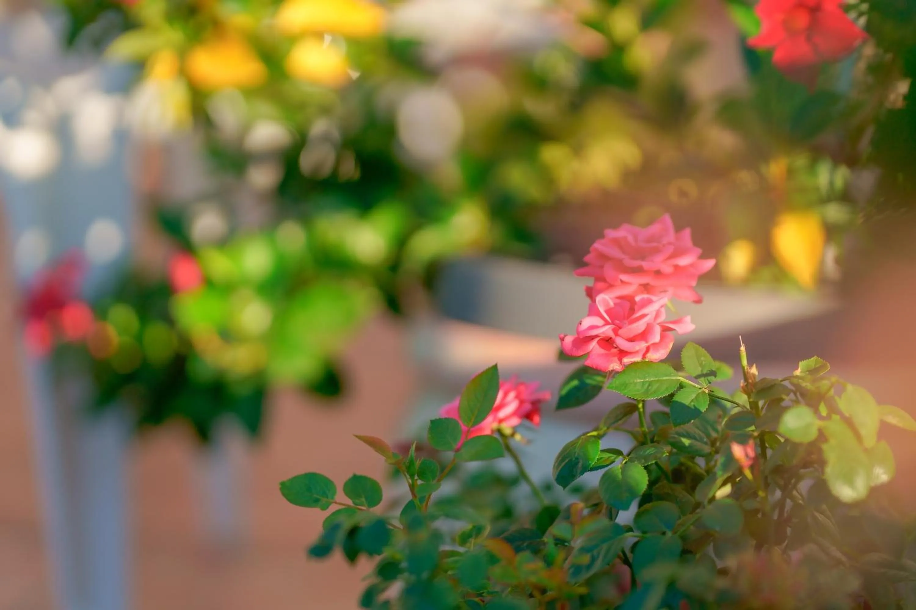 Balcony/Terrace in Nùe Rooms