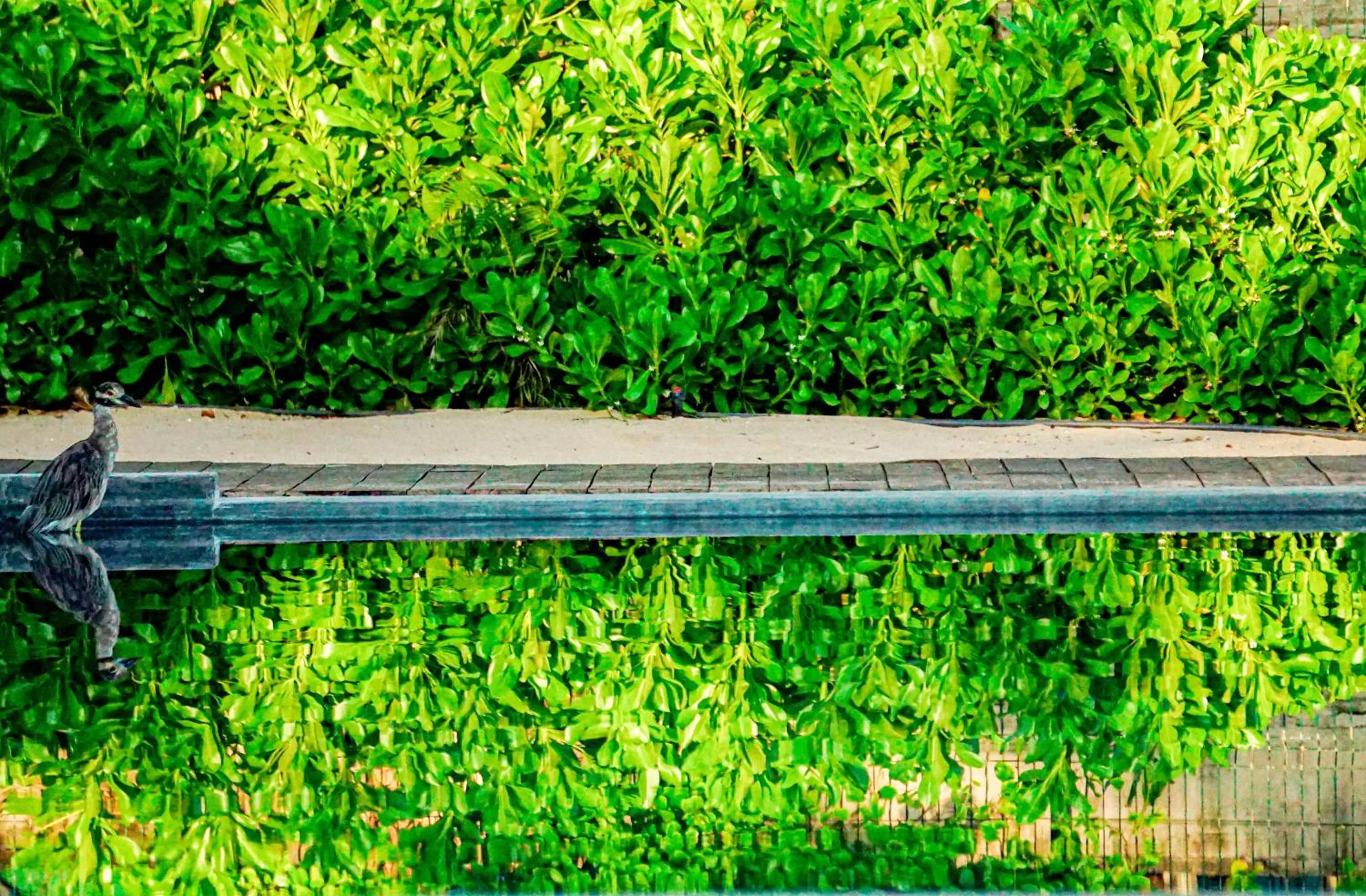 Natural landscape in Casa Lu Hotel Boutique