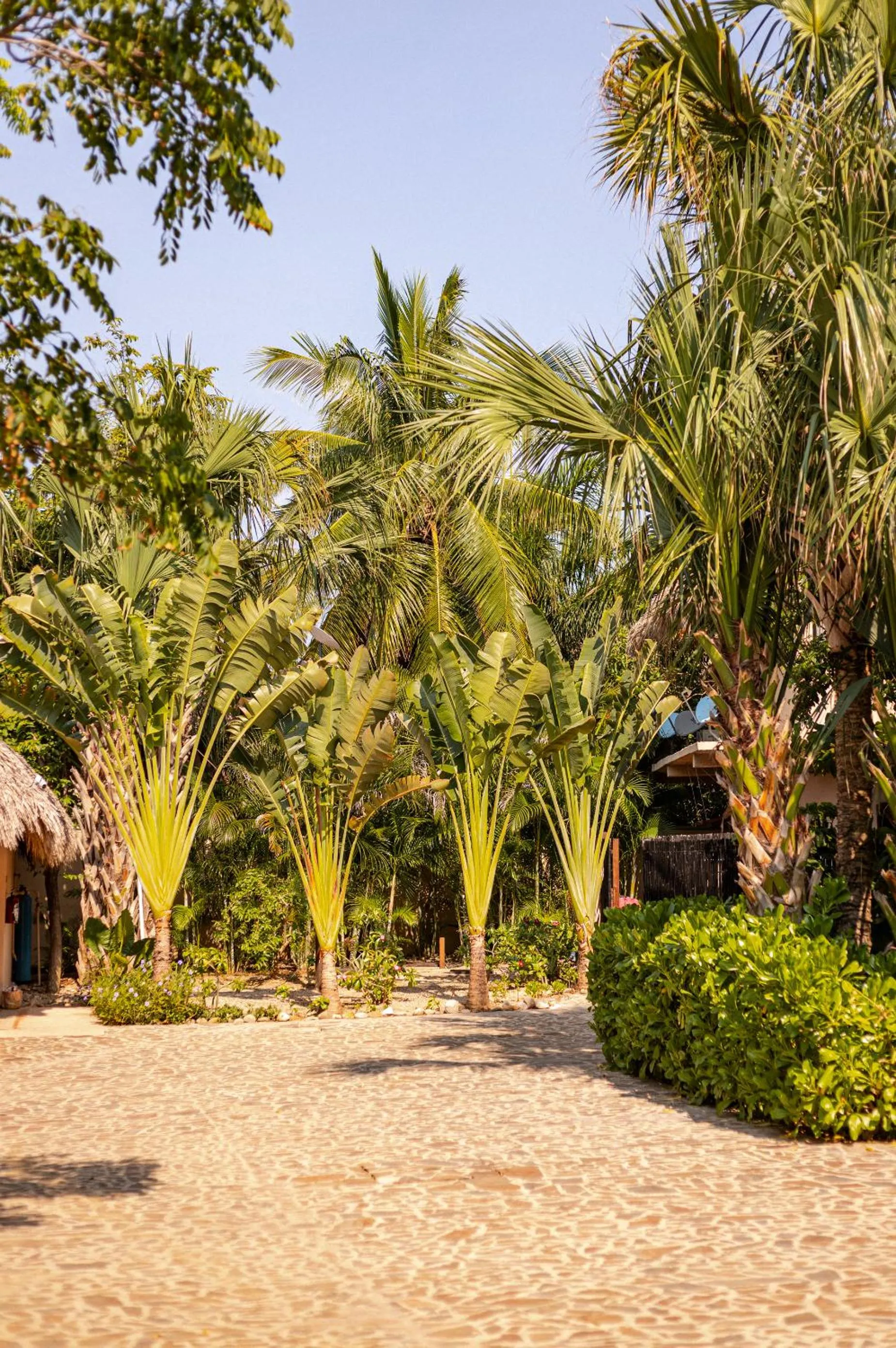 Garden in Casa Lu Hotel Boutique