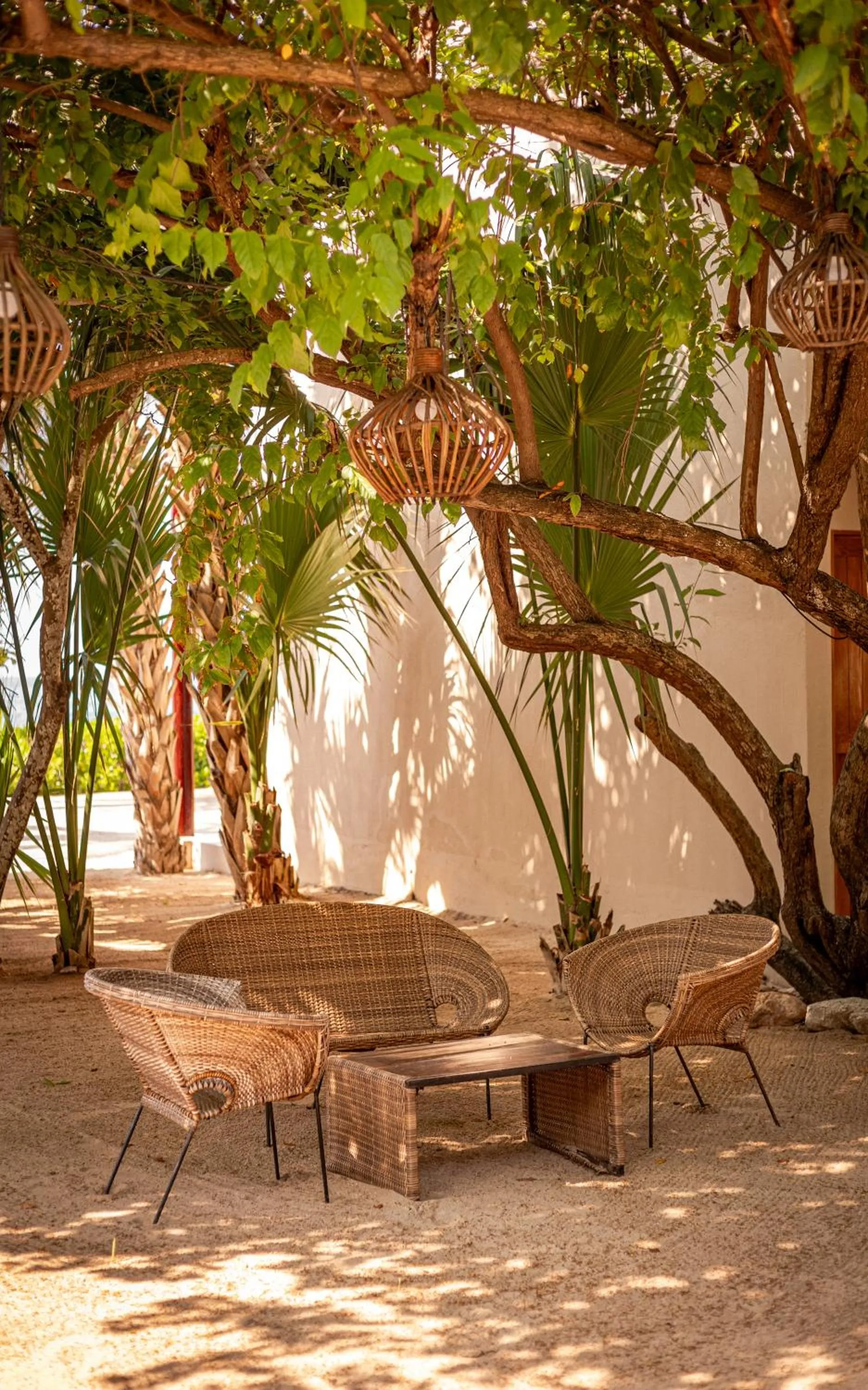 Garden in Casa Lu Hotel Boutique