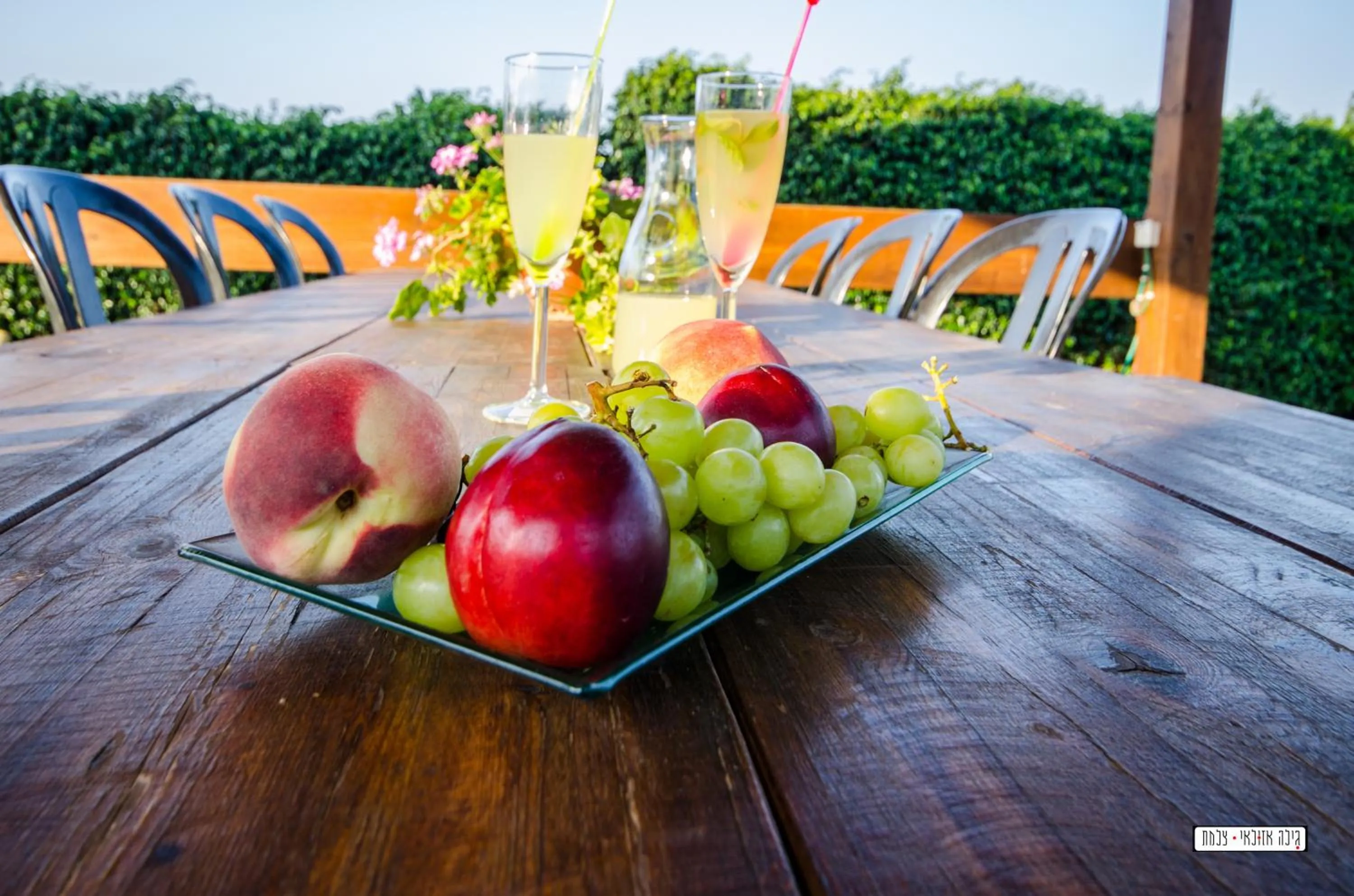 Balcony/Terrace in Avigail Guest House