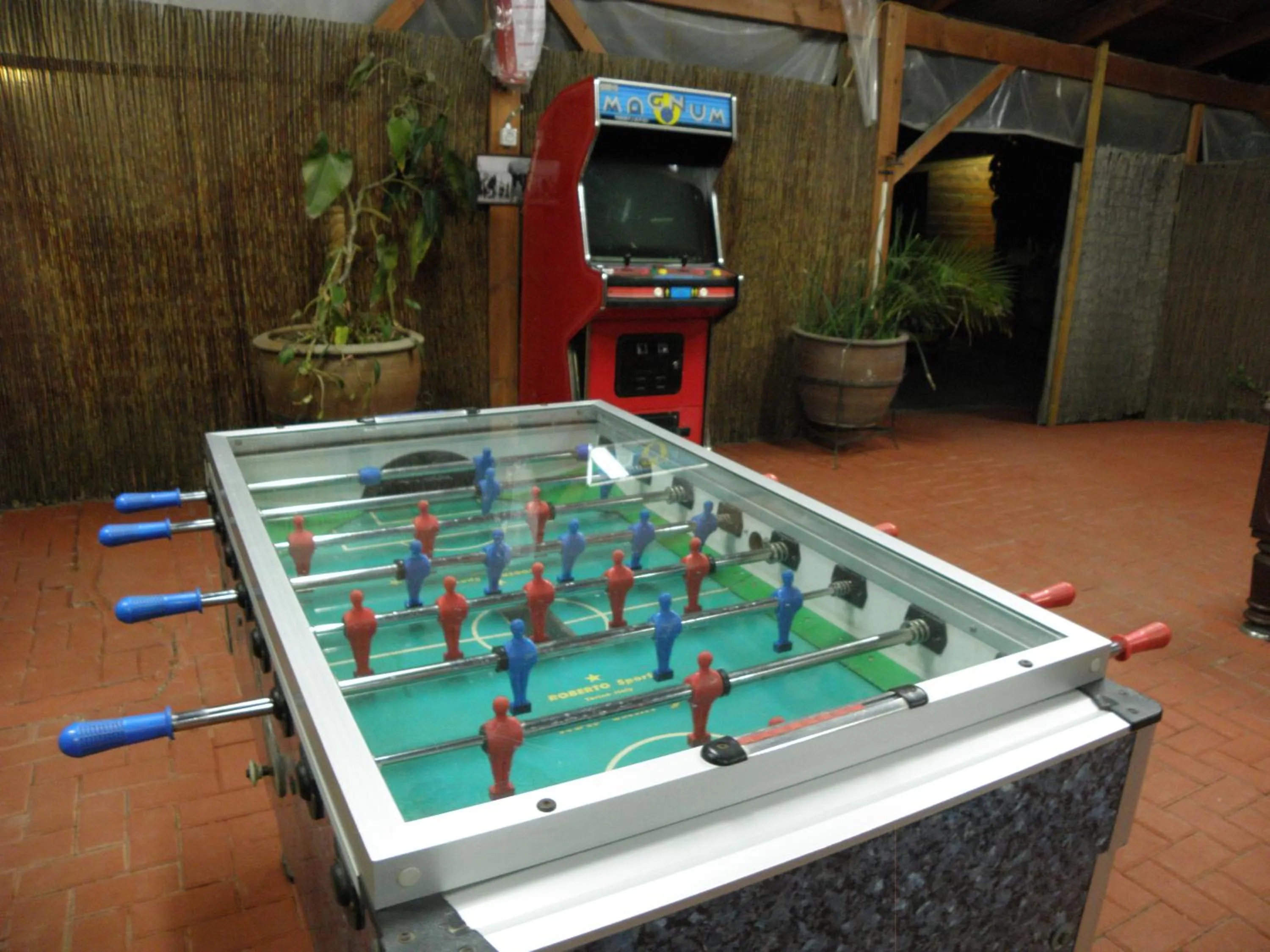 Game Room in Avigail Guest House