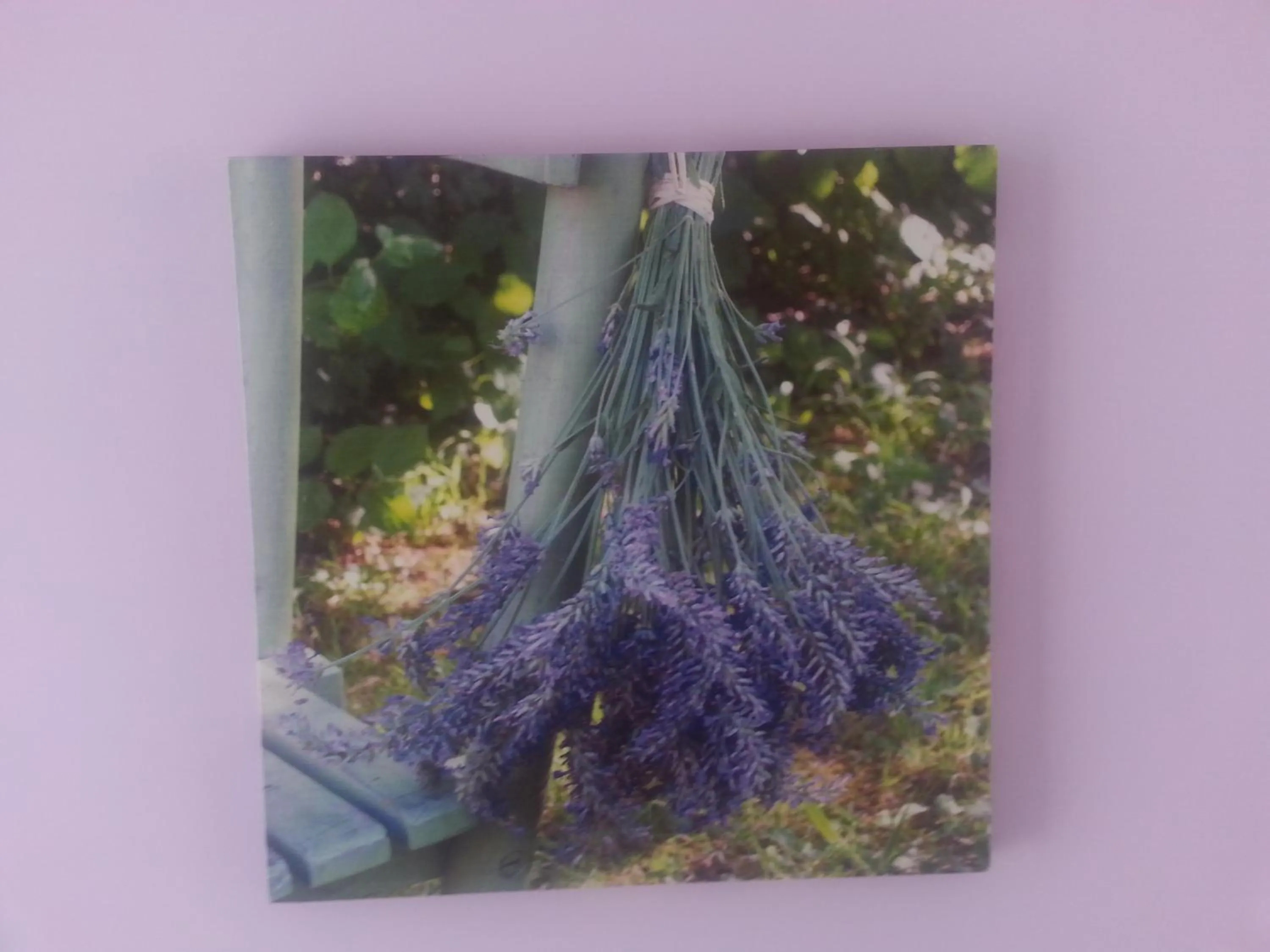 Decorative detail in Al Centro Suites