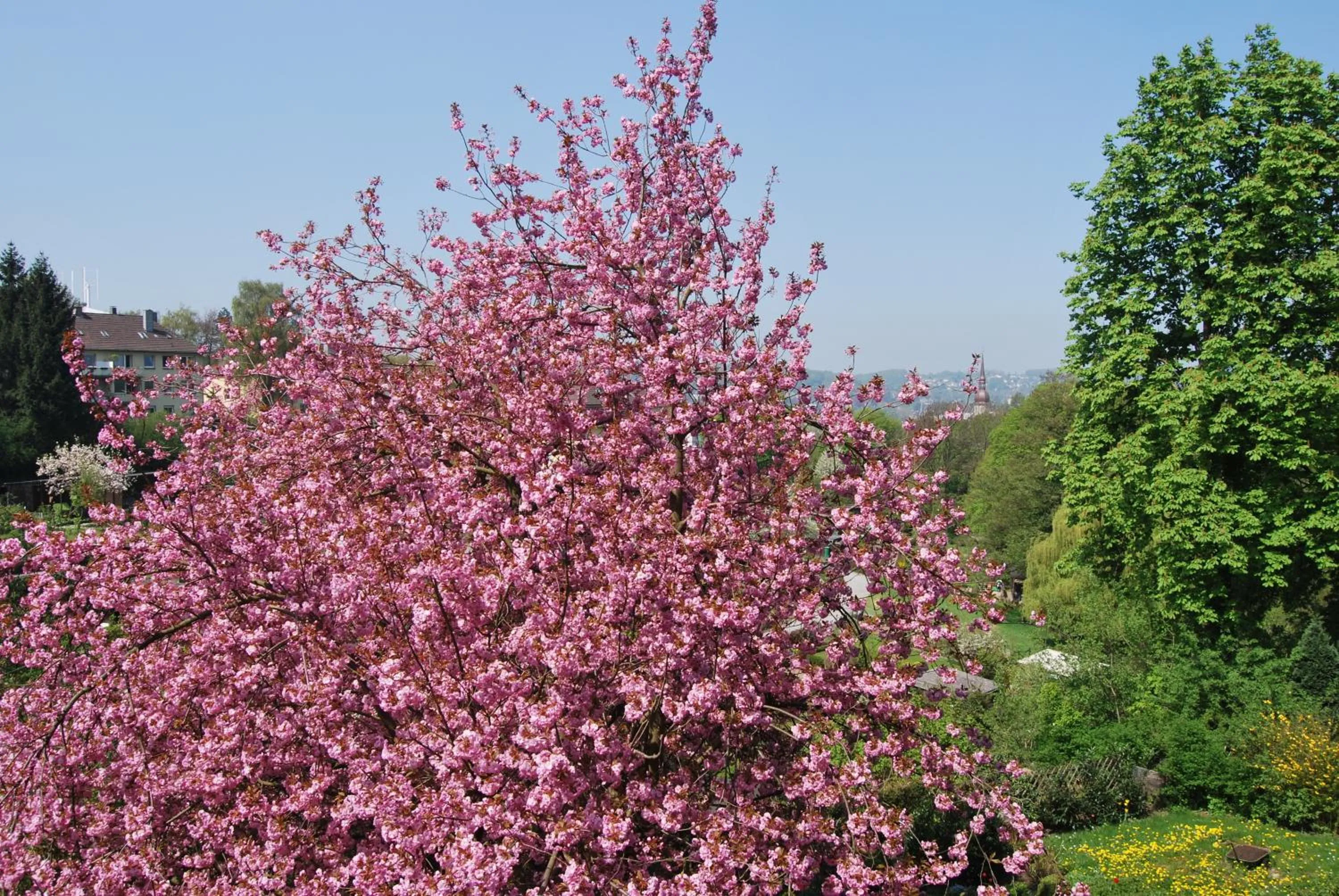 Spring in Messewohnung Augusta