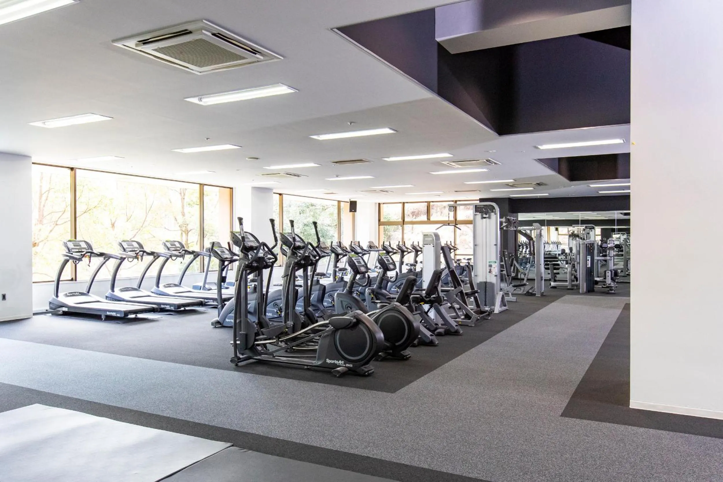 Activities in Resol no Mori