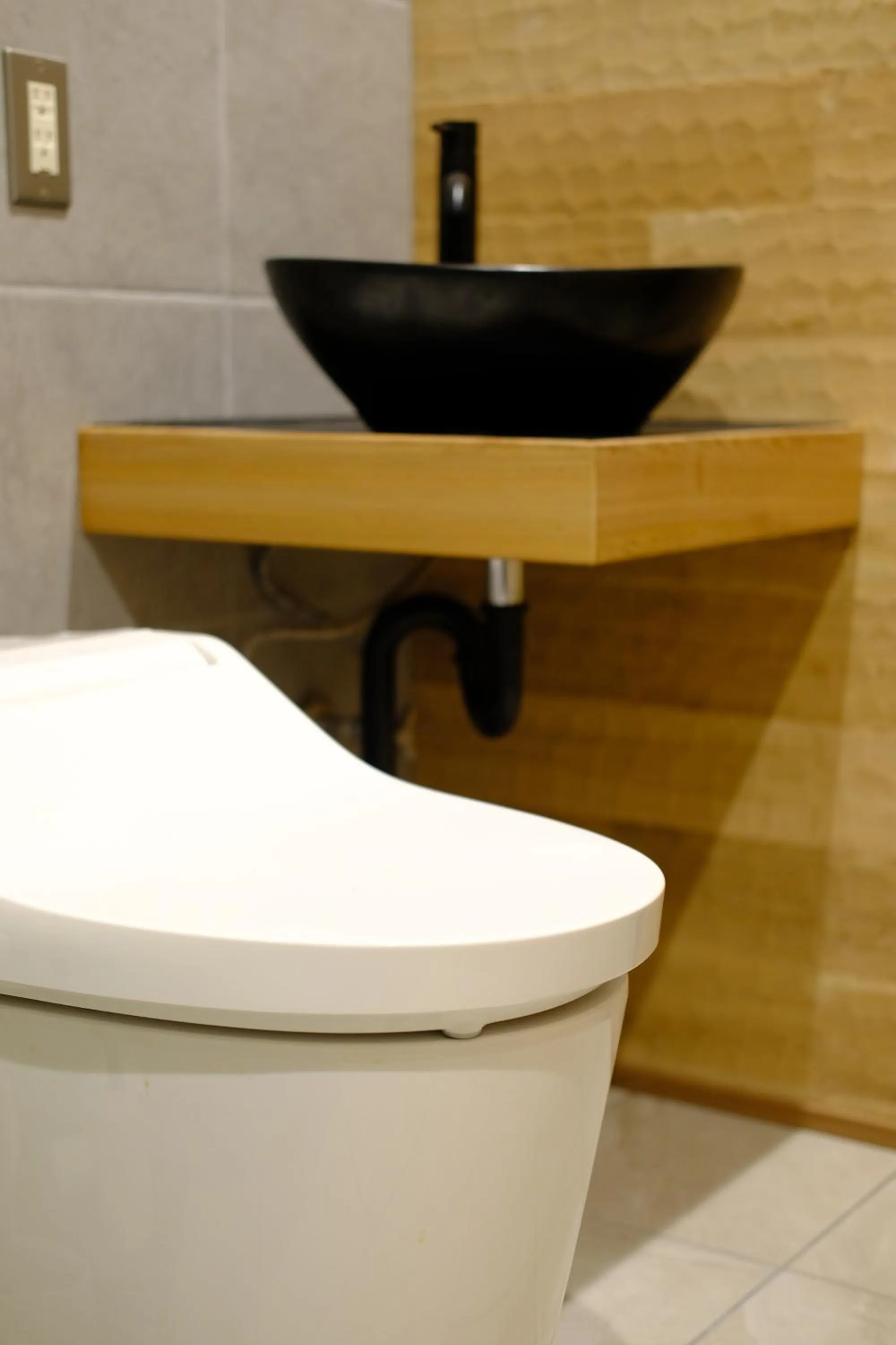 HA-MON Slope Side Hotel and Private Chalet