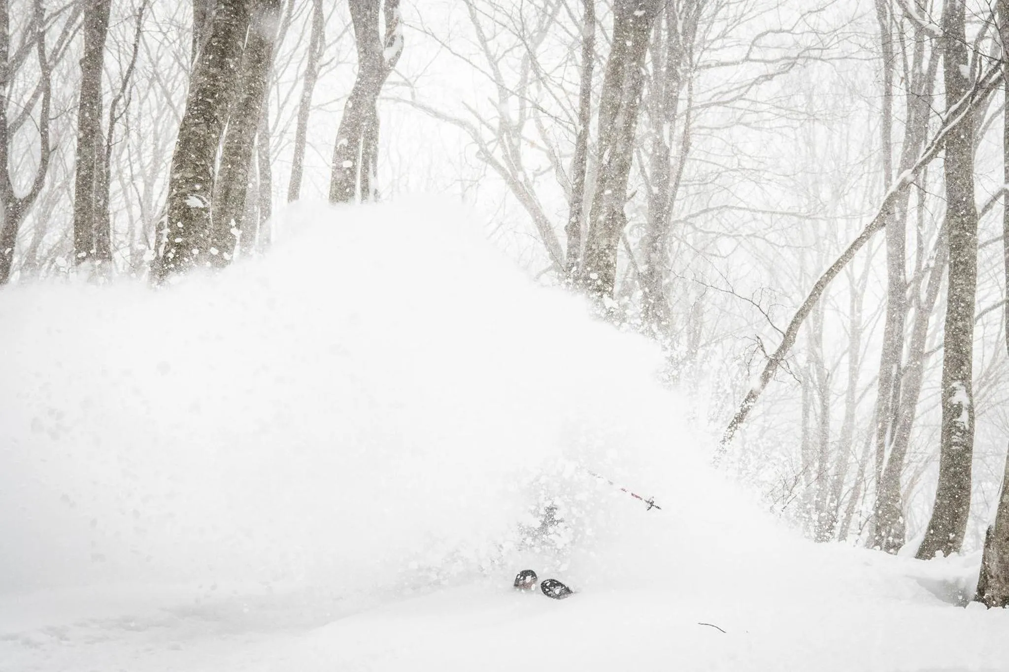 HA-MON Slope Side Hotel and Private Chalet