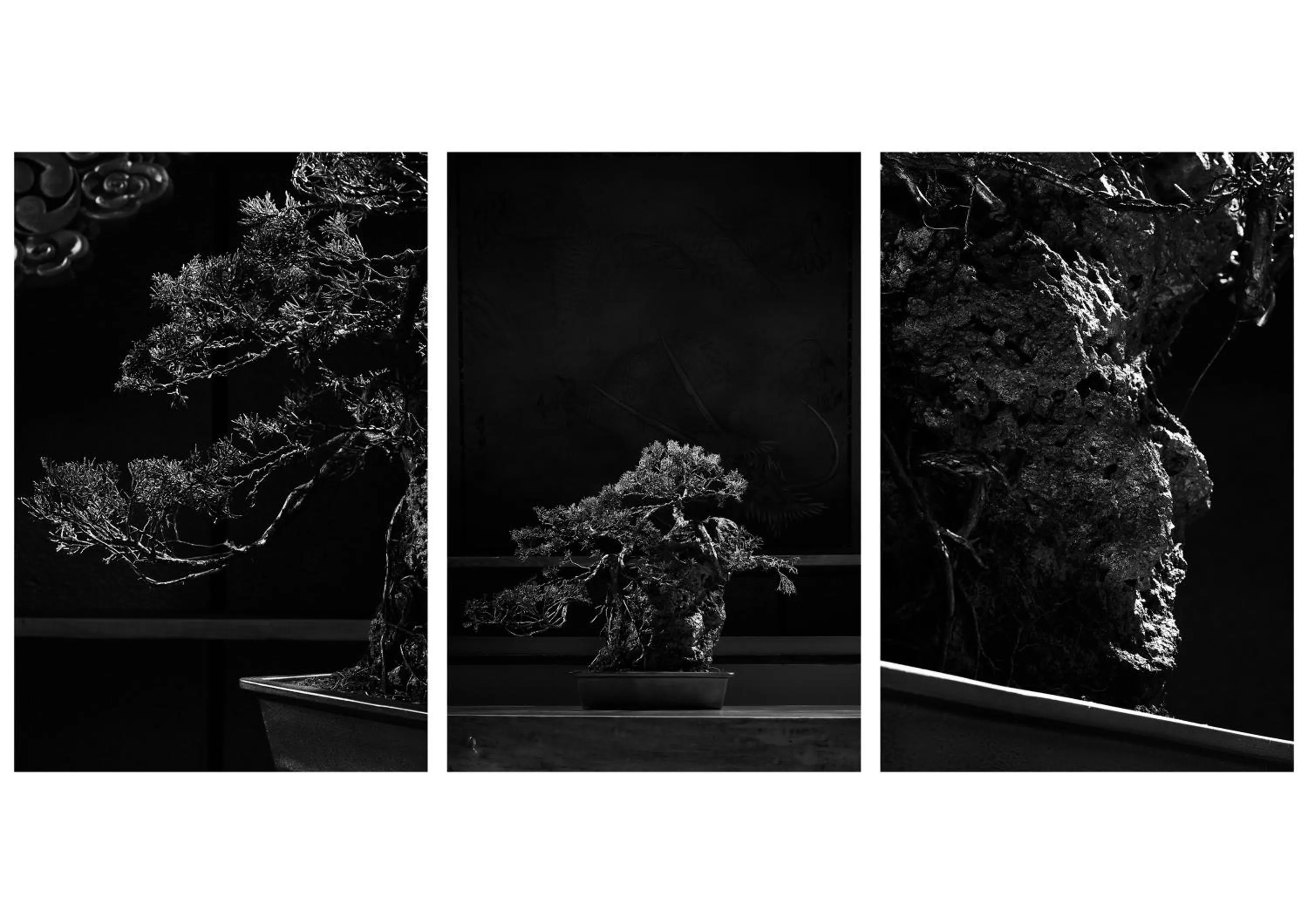 HA-MON Slope Side Hotel and Private Chalet