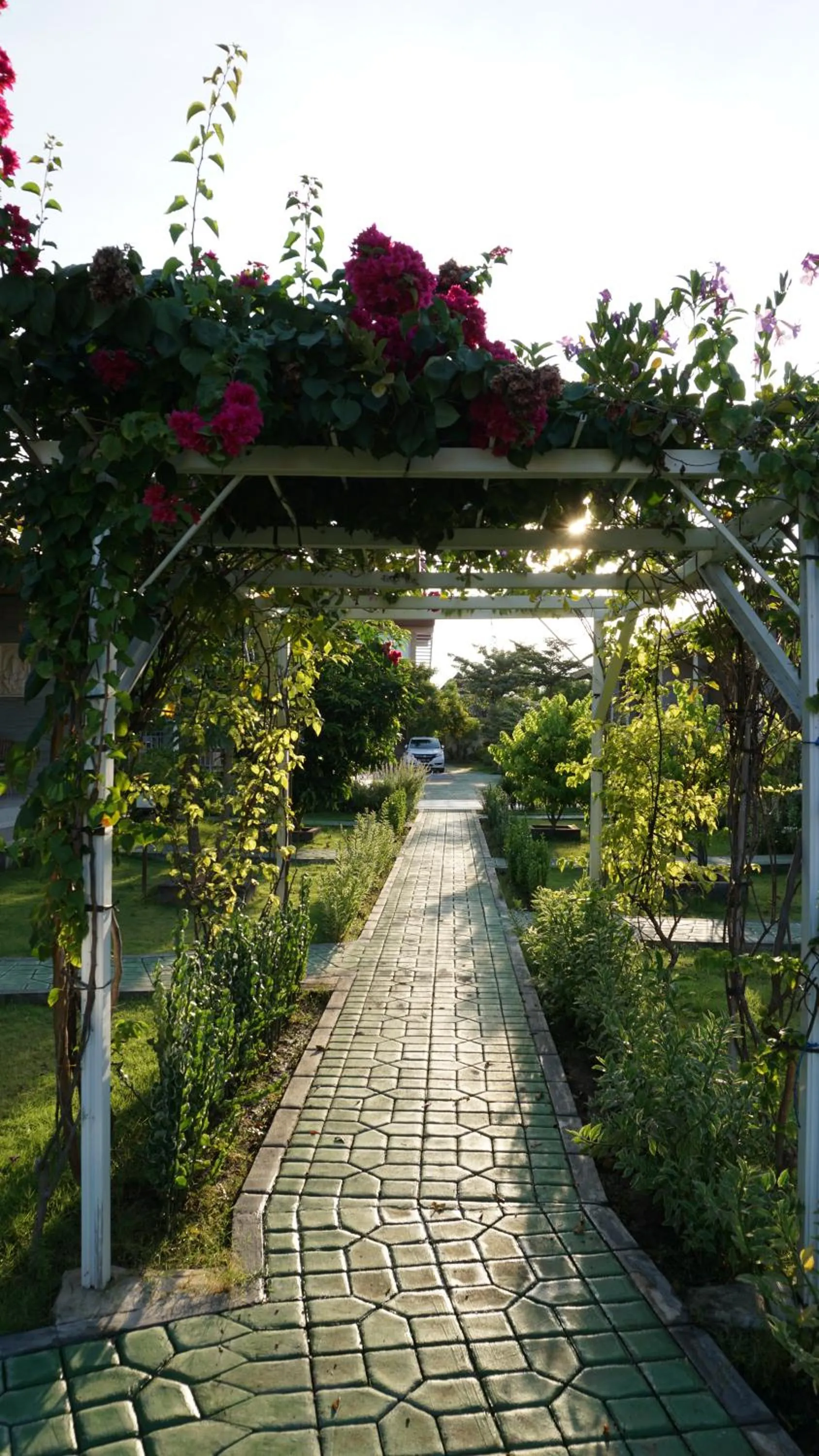 Garden view in Seamount Hotel Amed