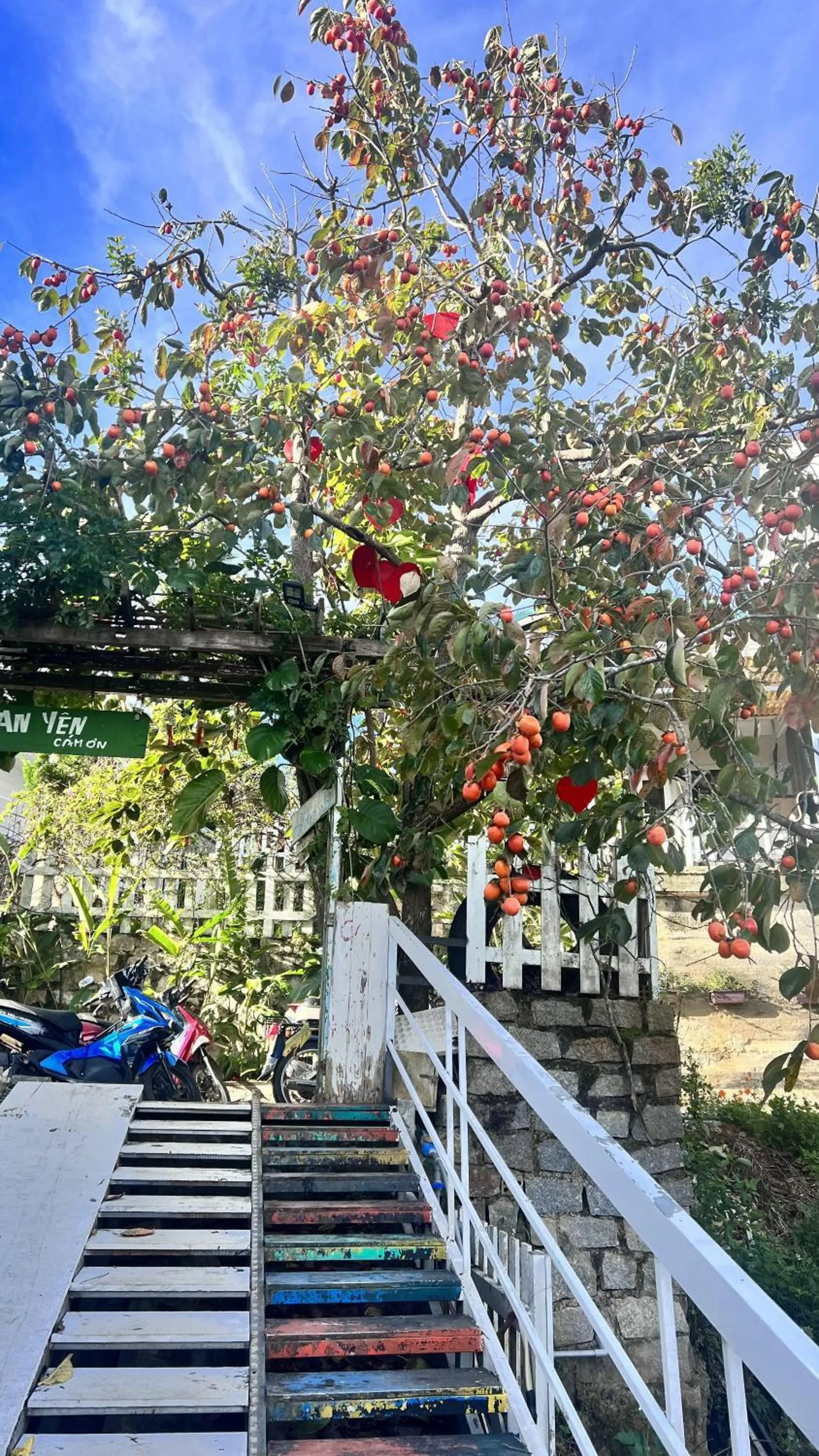 An Yên Villa Đà Lạt