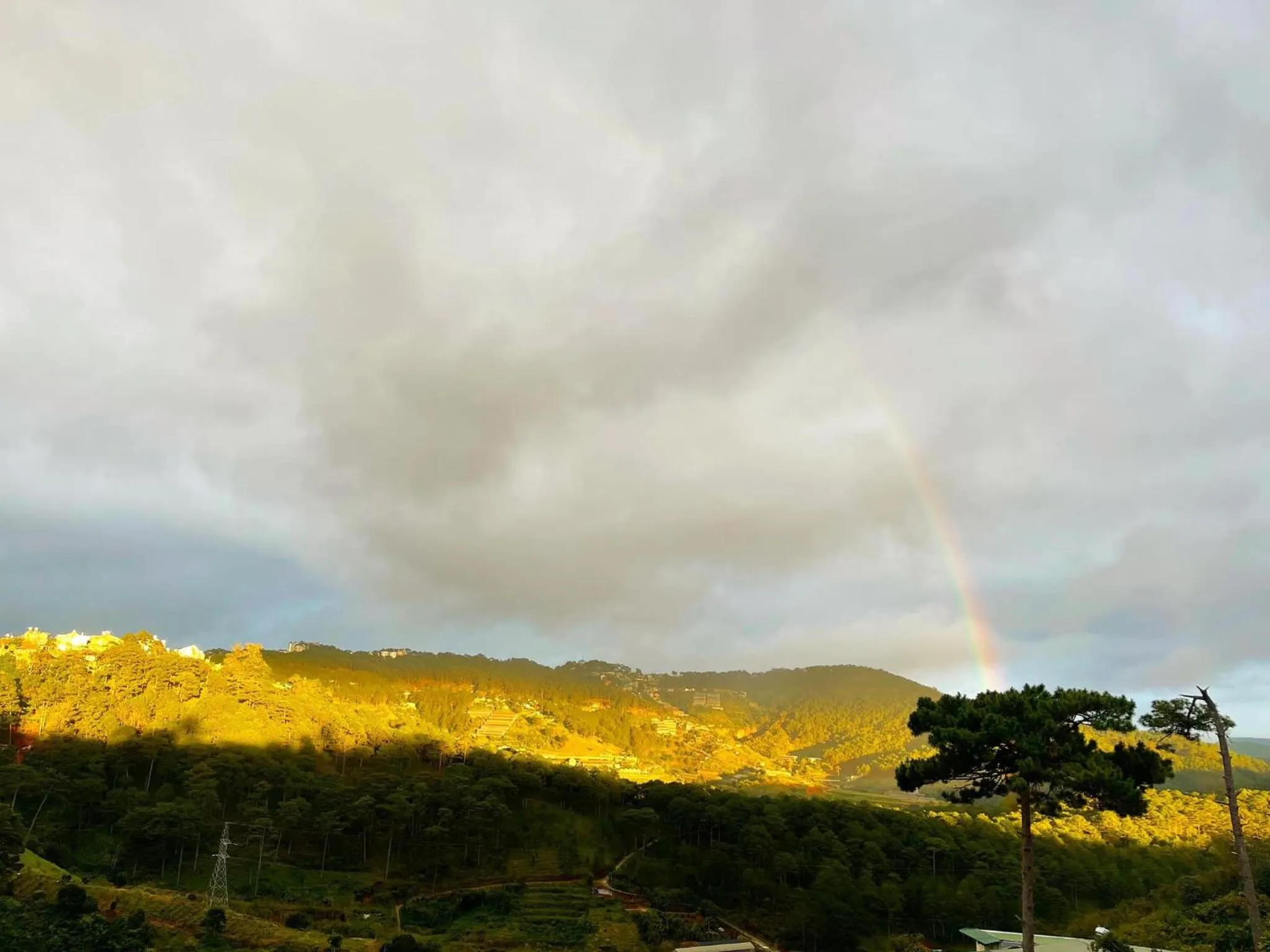 View (from property/room) in An Yên Villa Đà Lạt