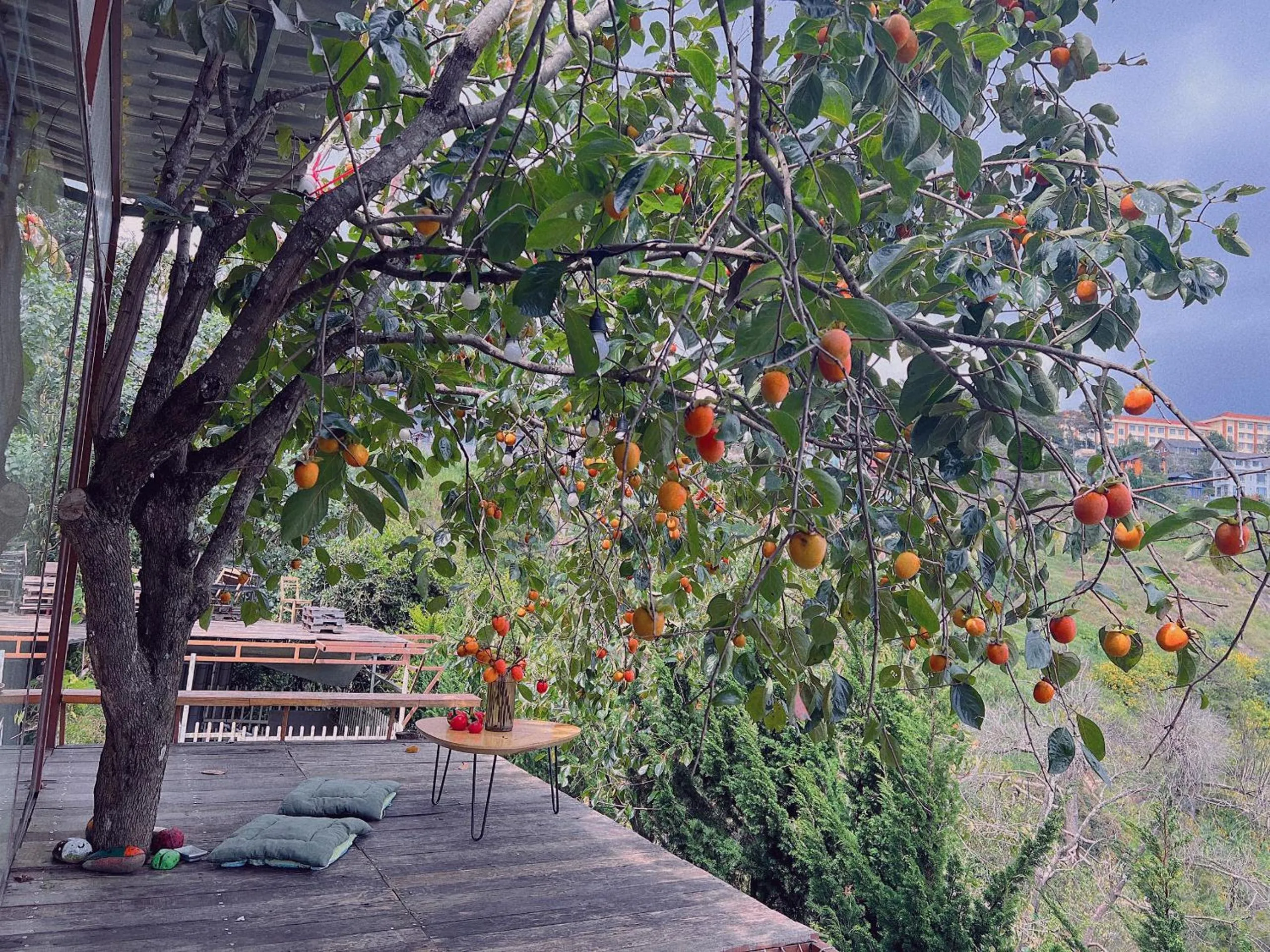 An Yên Villa Đà Lạt