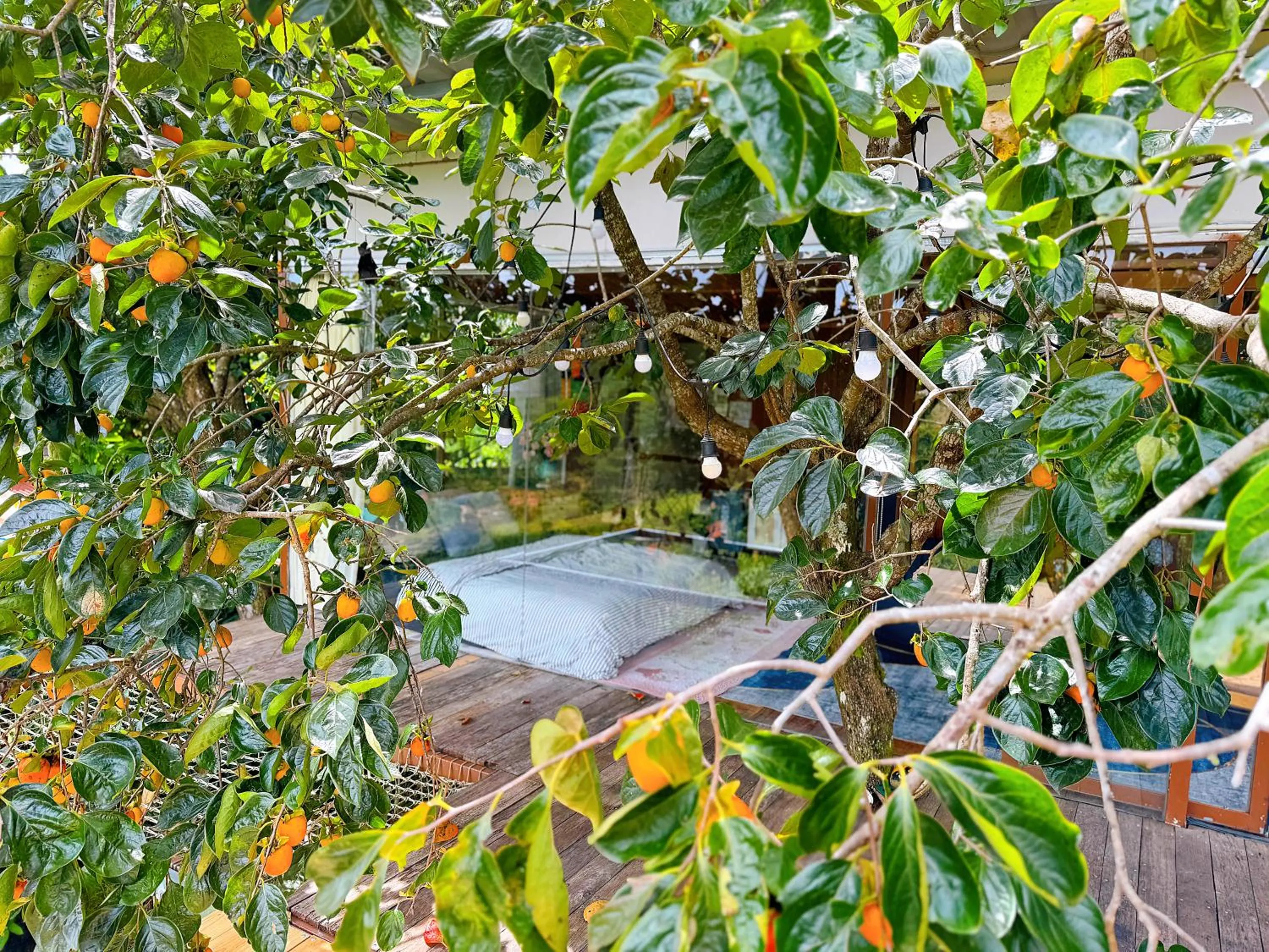 An Yên Villa Đà Lạt