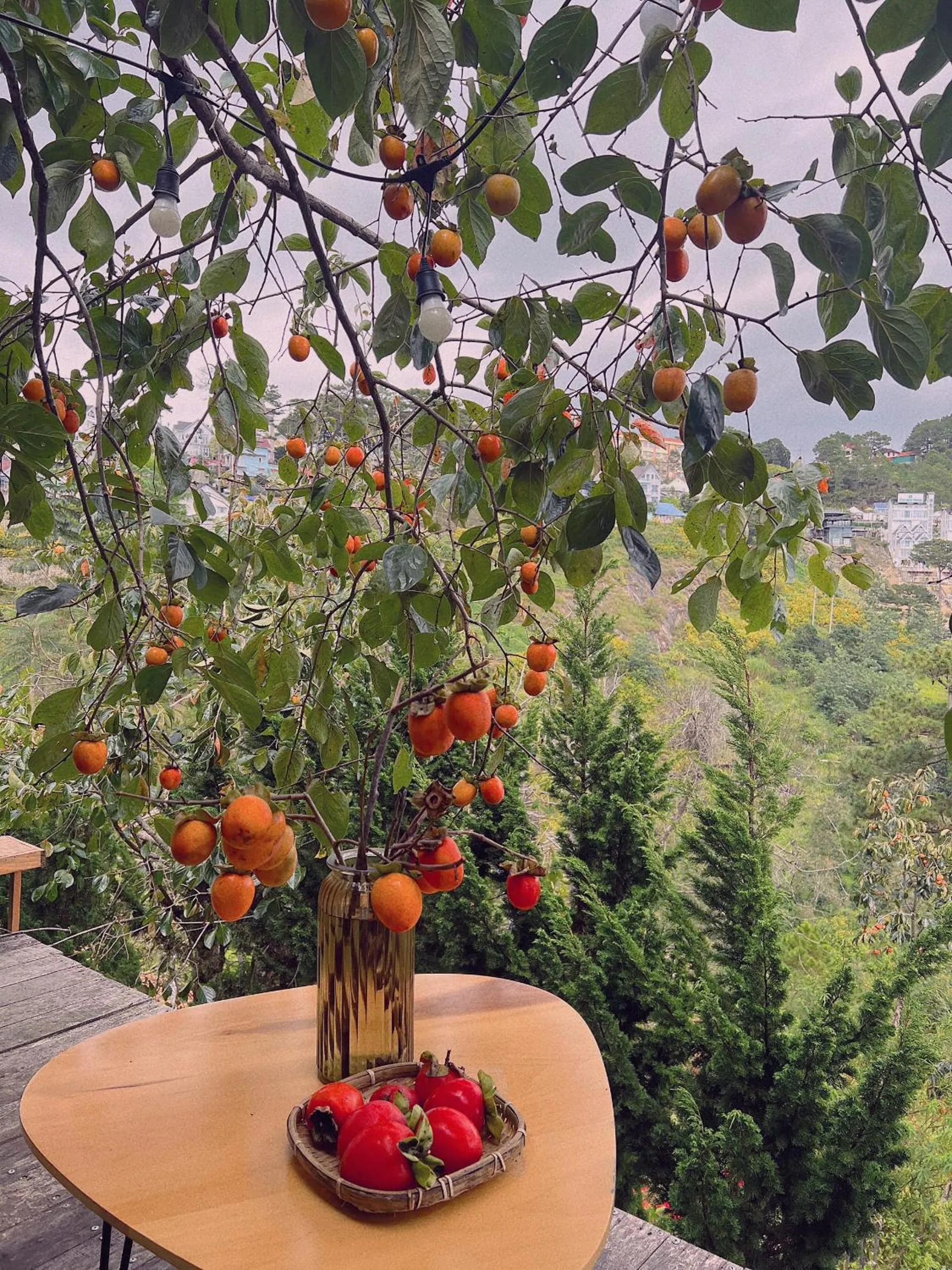 An Yên Villa Đà Lạt