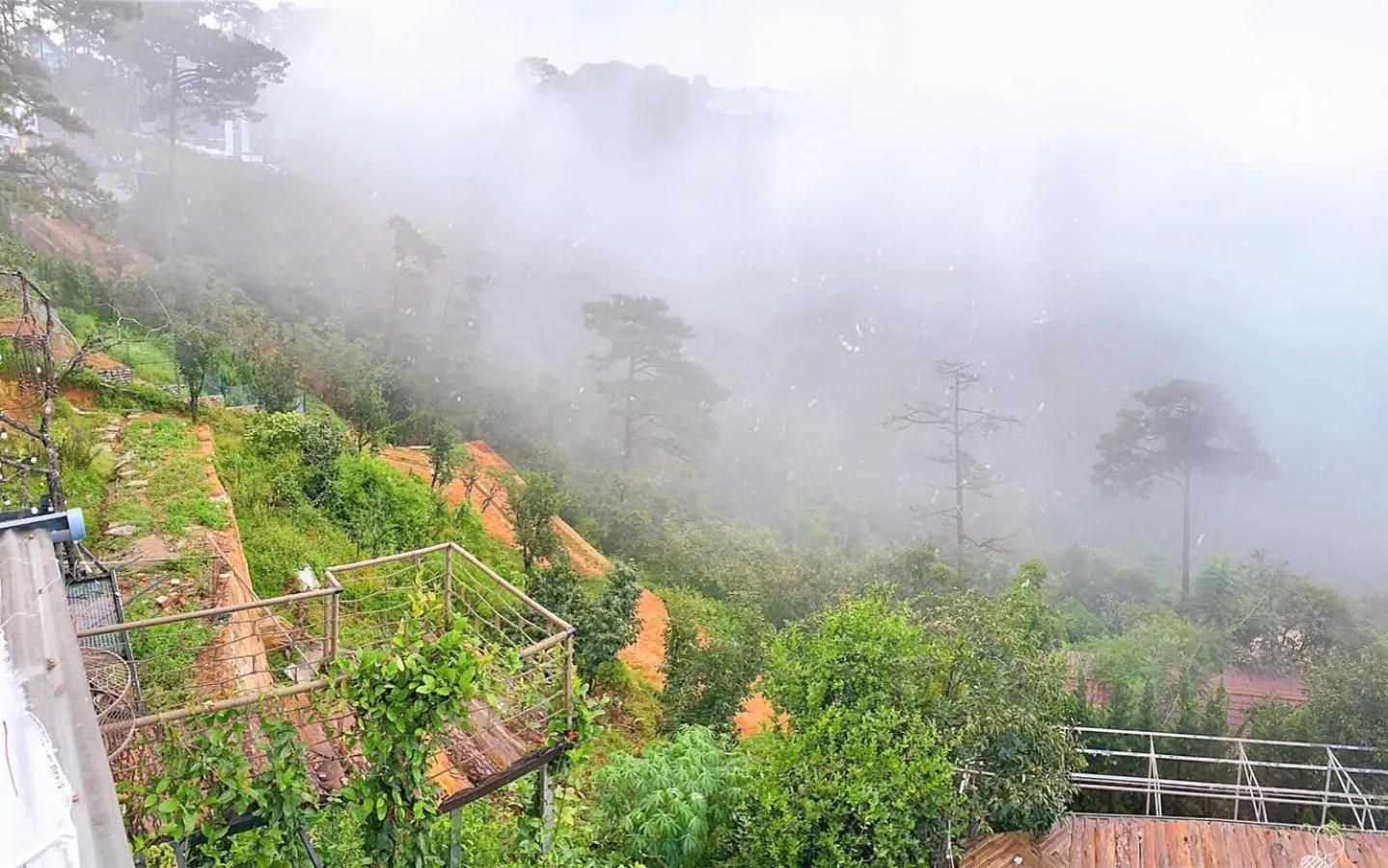 View (from property/room) in An Yên Villa Đà Lạt