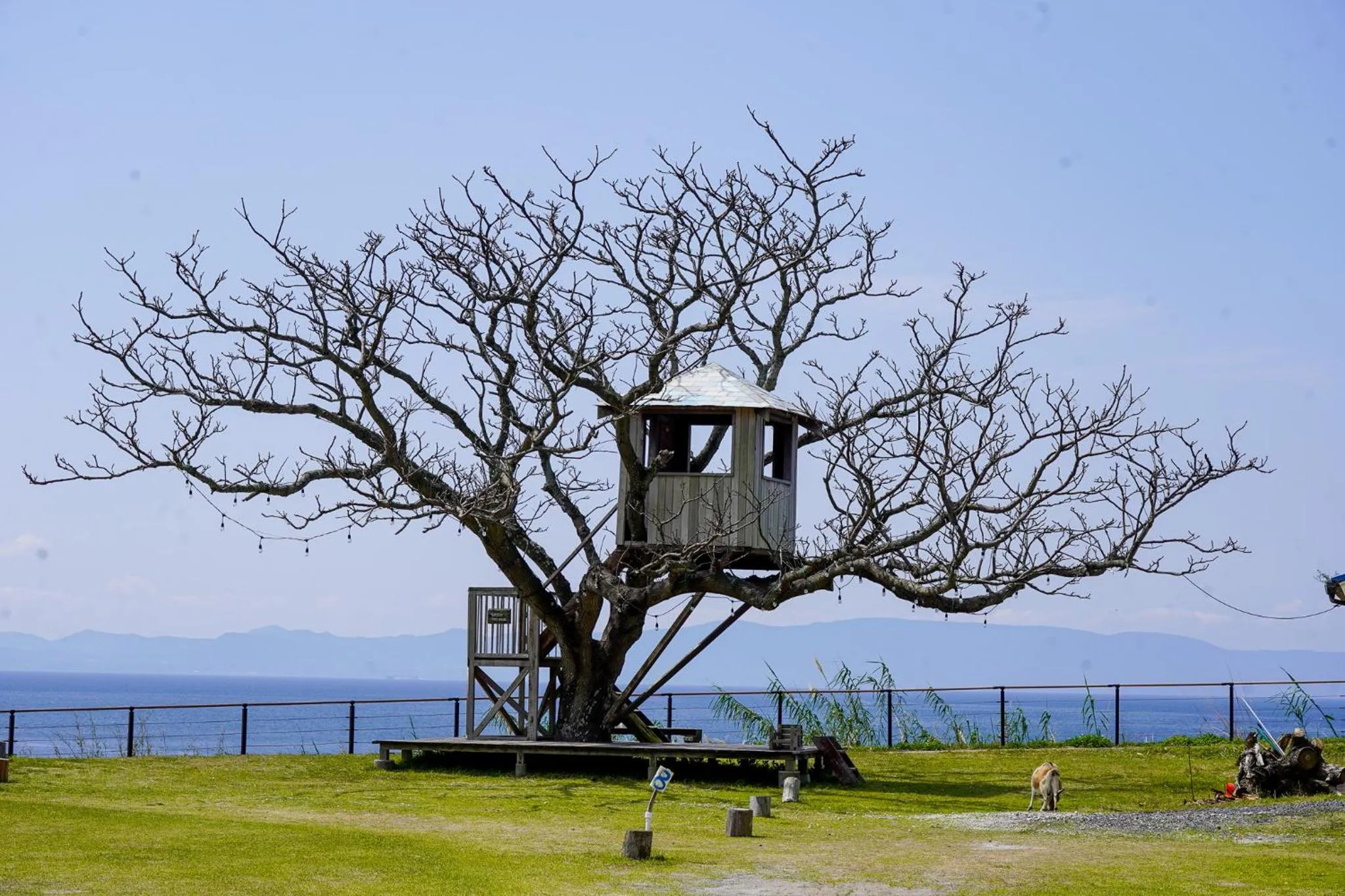 YUKUSA OHSUMI UMI no GAKKO