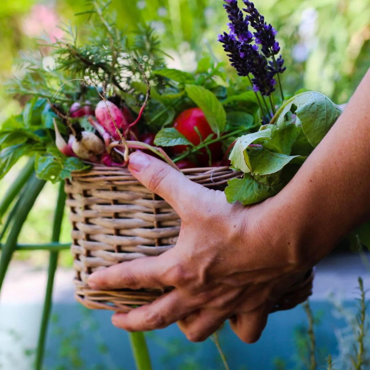 Restaurant/places to eat in Sud Hôtel Restaurant