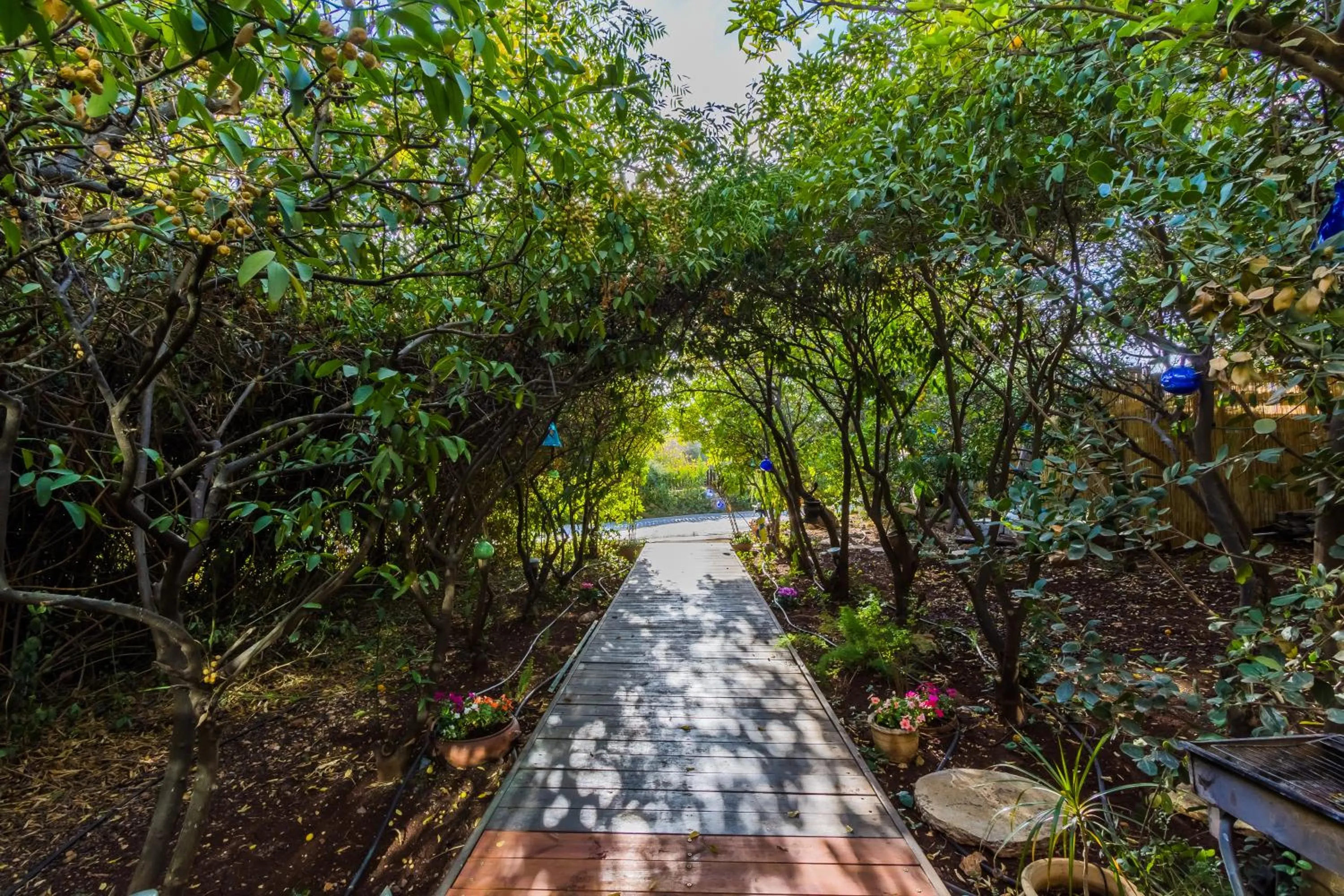 Decorative detail in Marom Romance