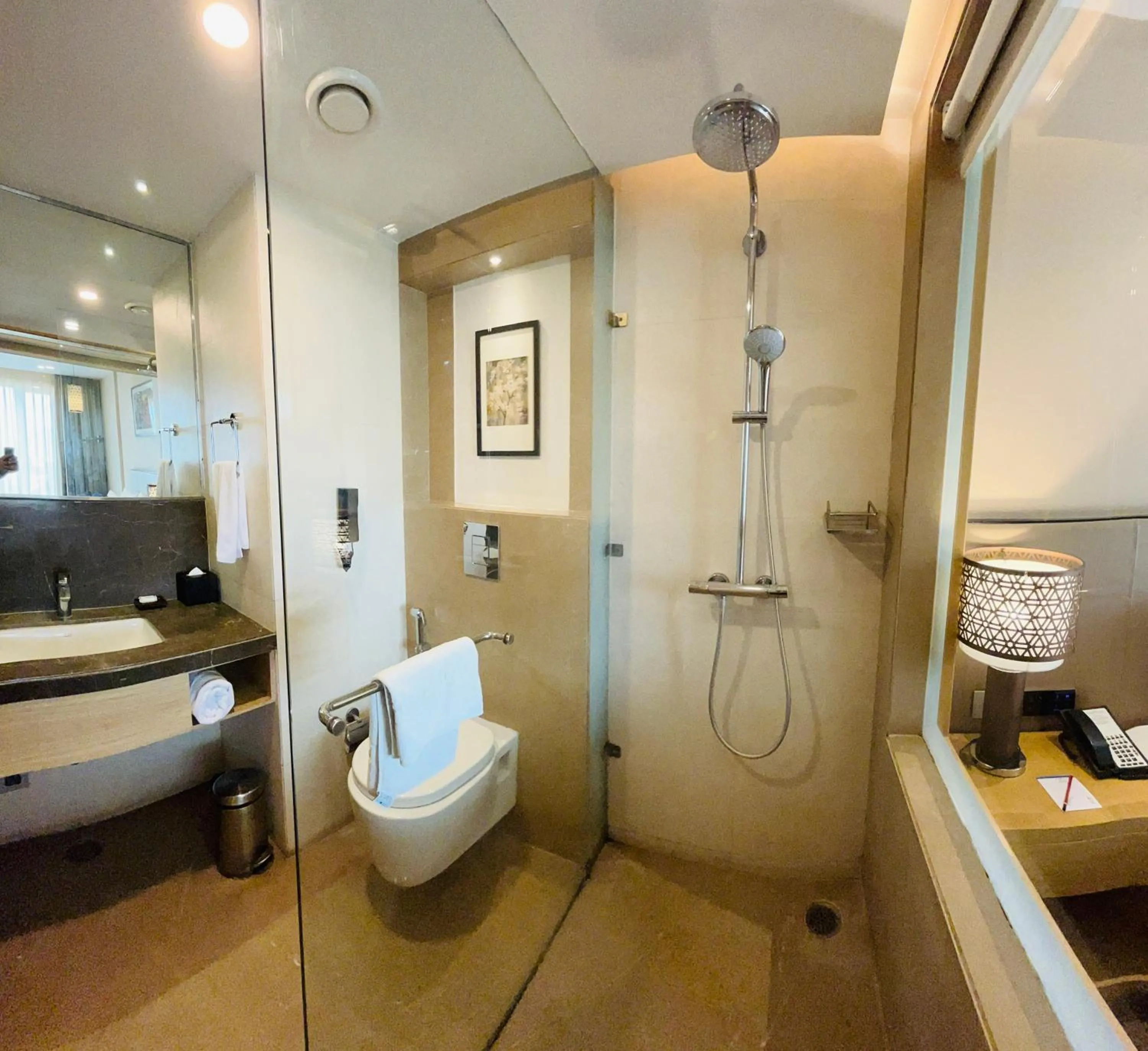 Bathroom in The Fern Residency Sarnath