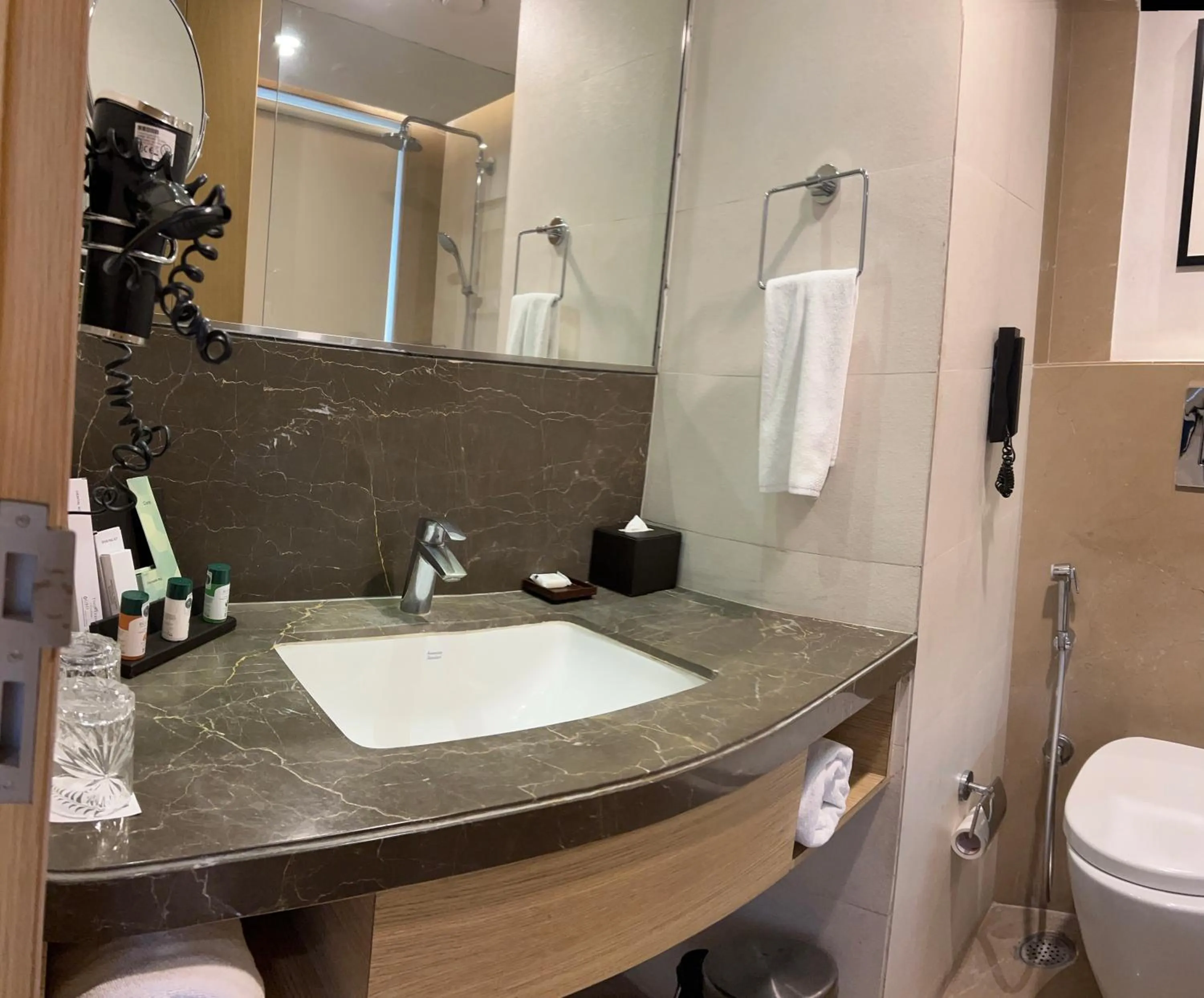 Bathroom in The Fern Residency Sarnath