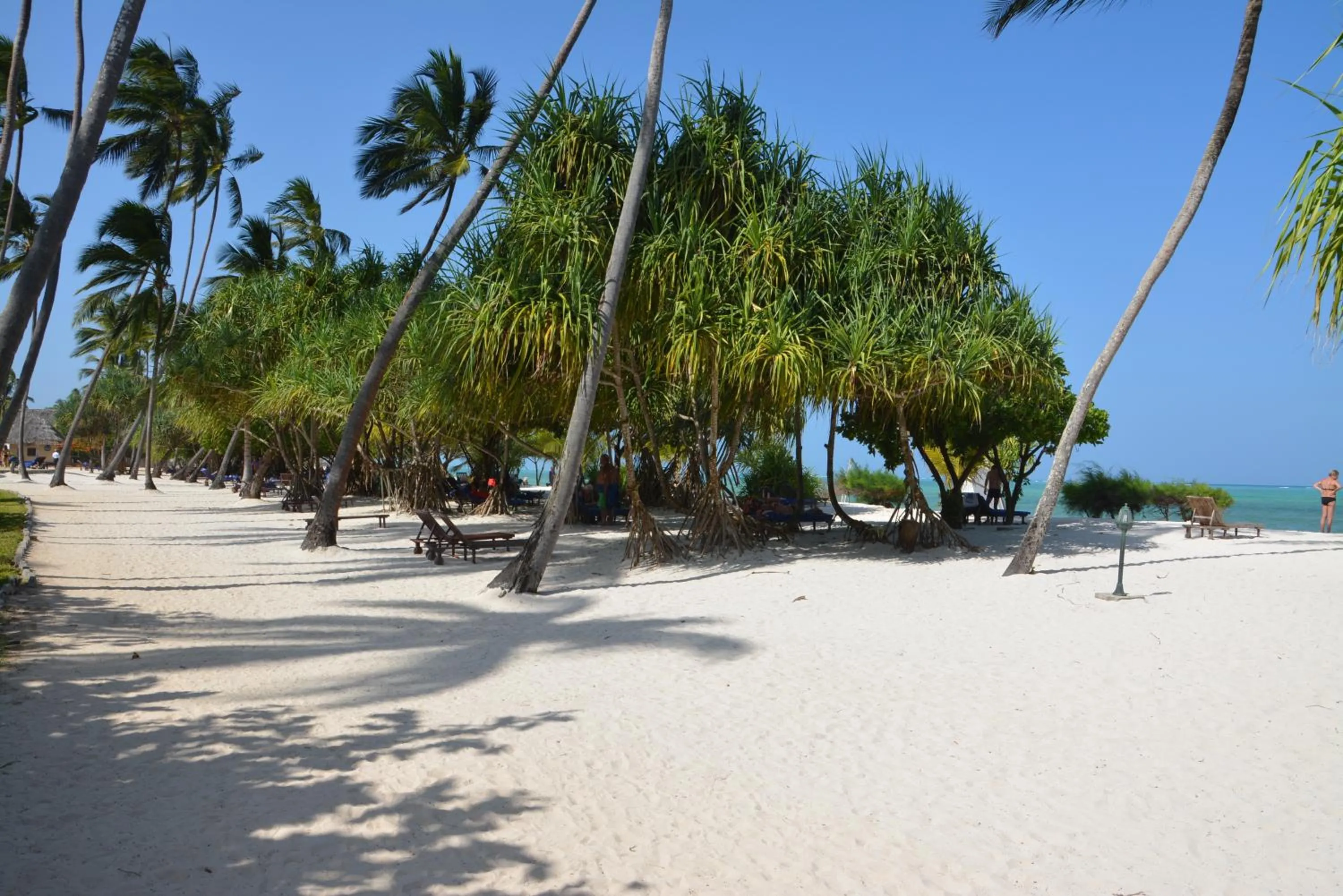 Beach in Neptune Pwani Beach Resort & Spa Zanzibar - All Inclusive