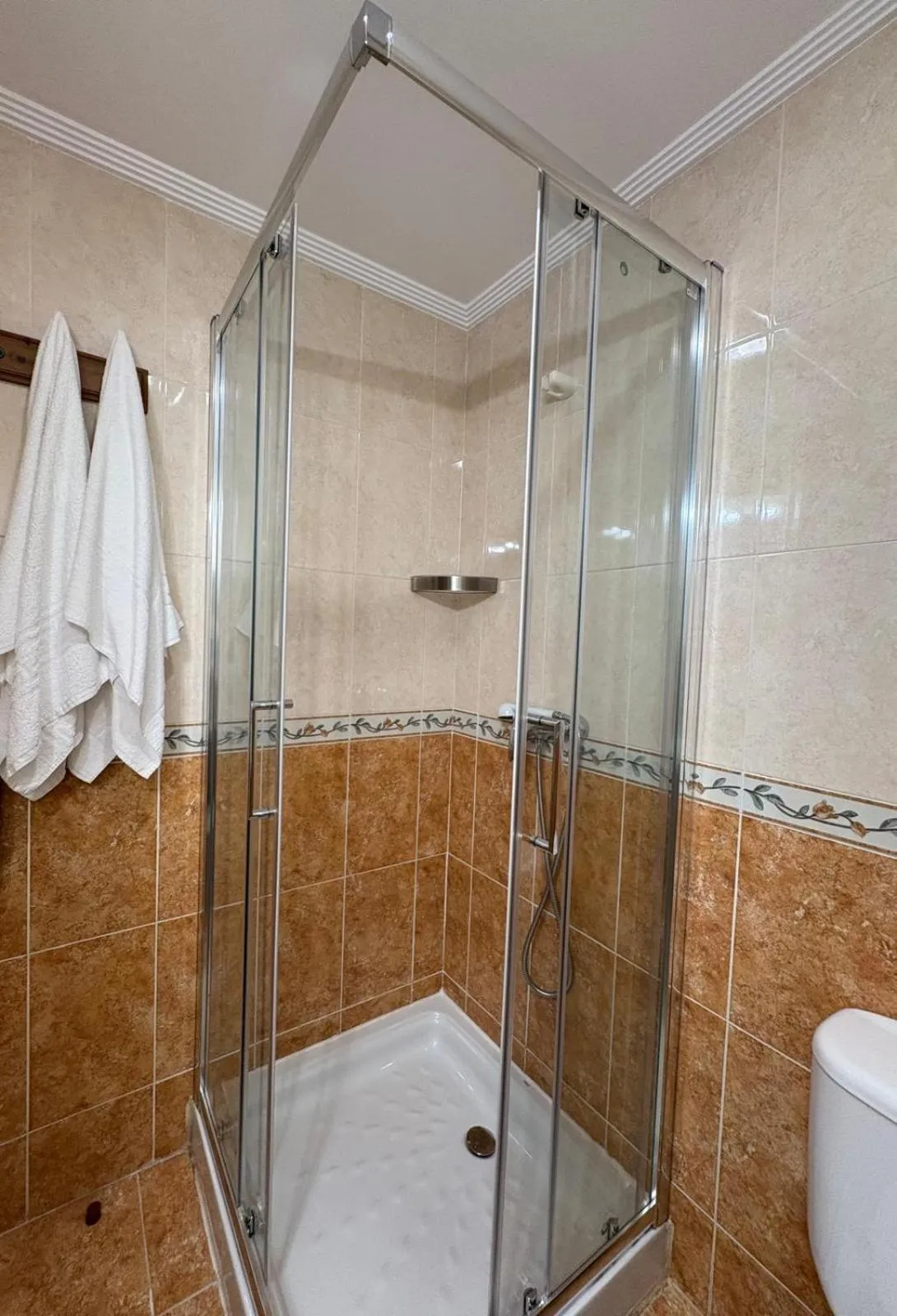 Shower in Apartamentos Luarca