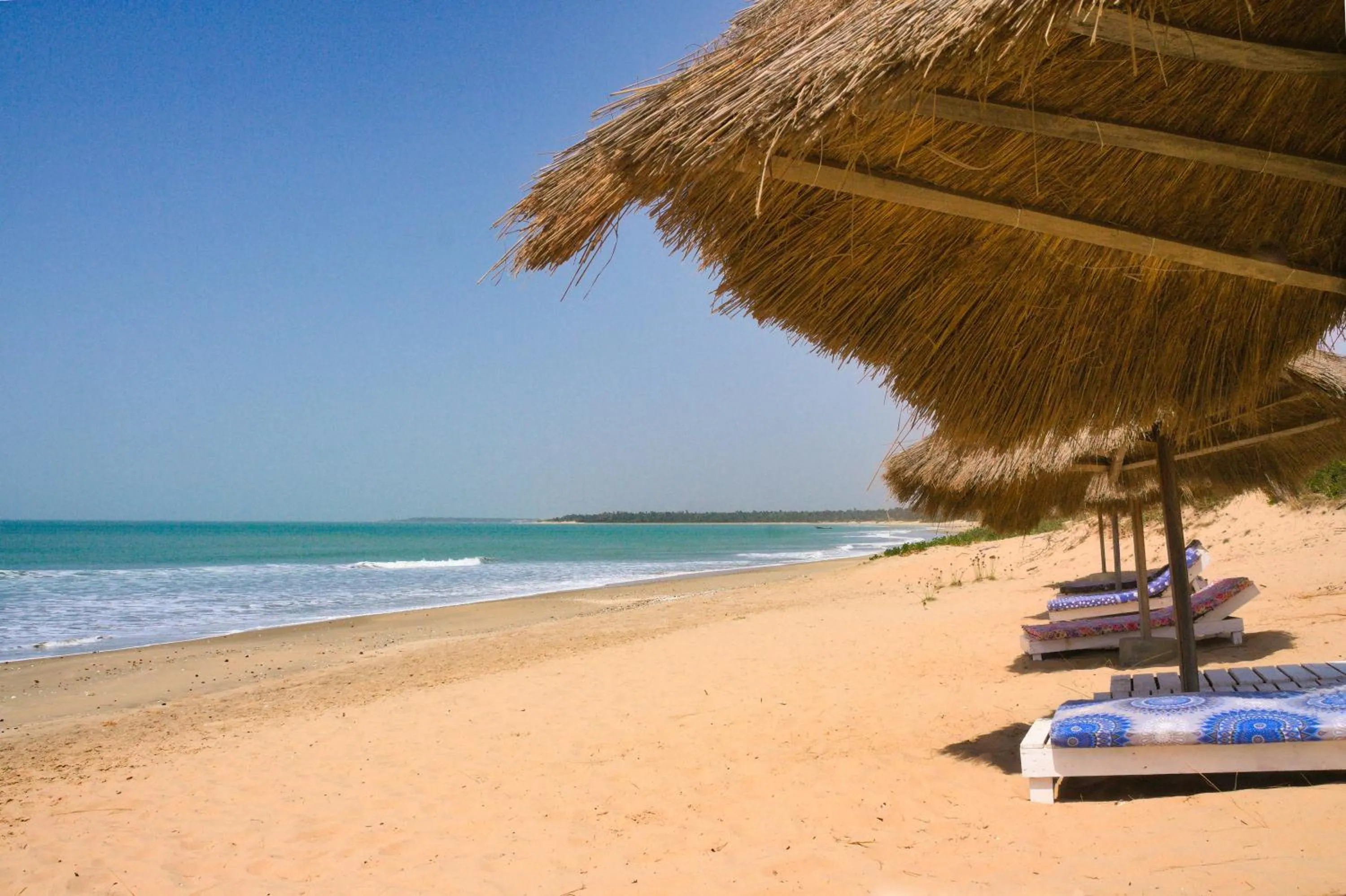 Day in Tamba Kuruba Eco-lodge