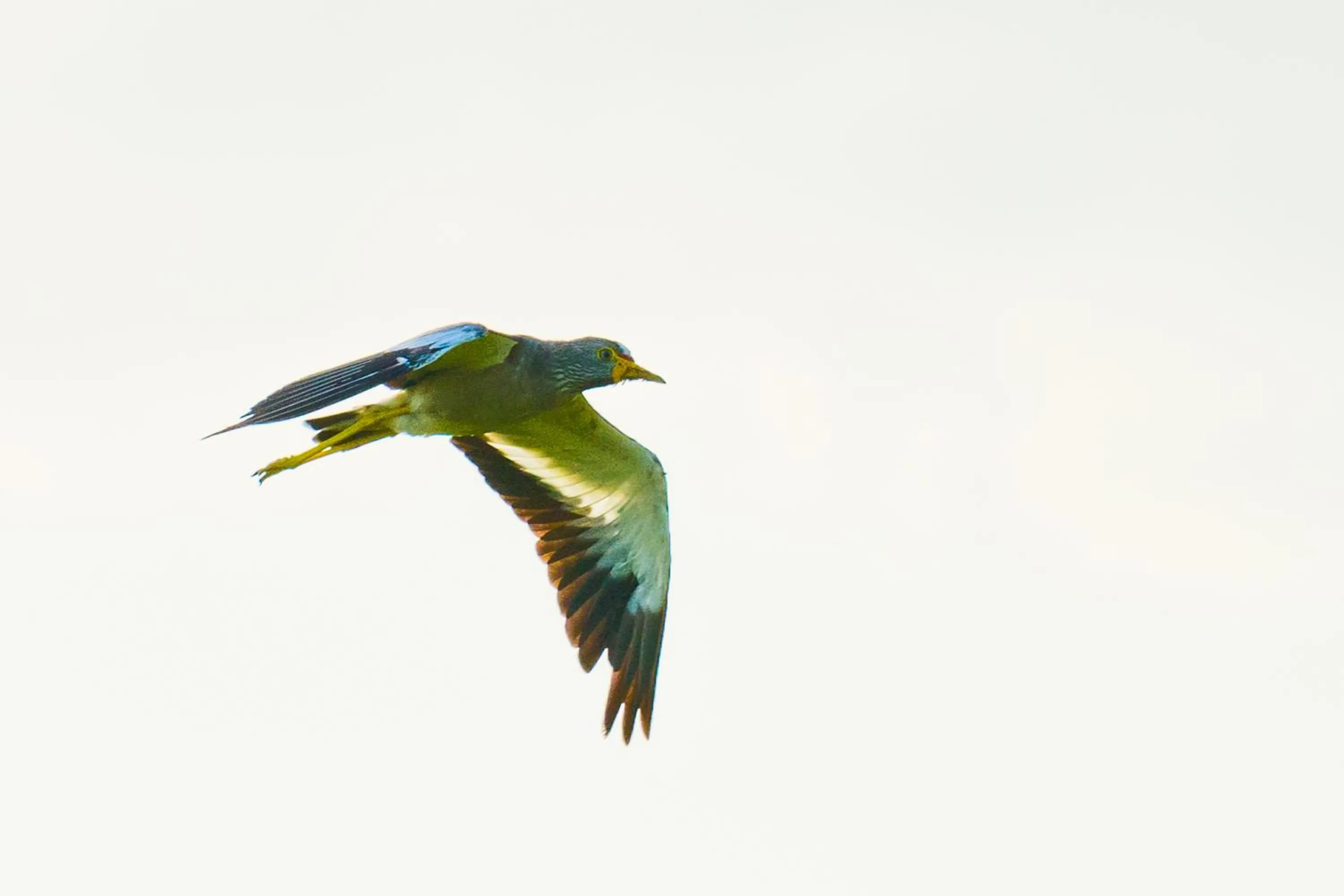 Off site in Tamba Kuruba Eco-lodge