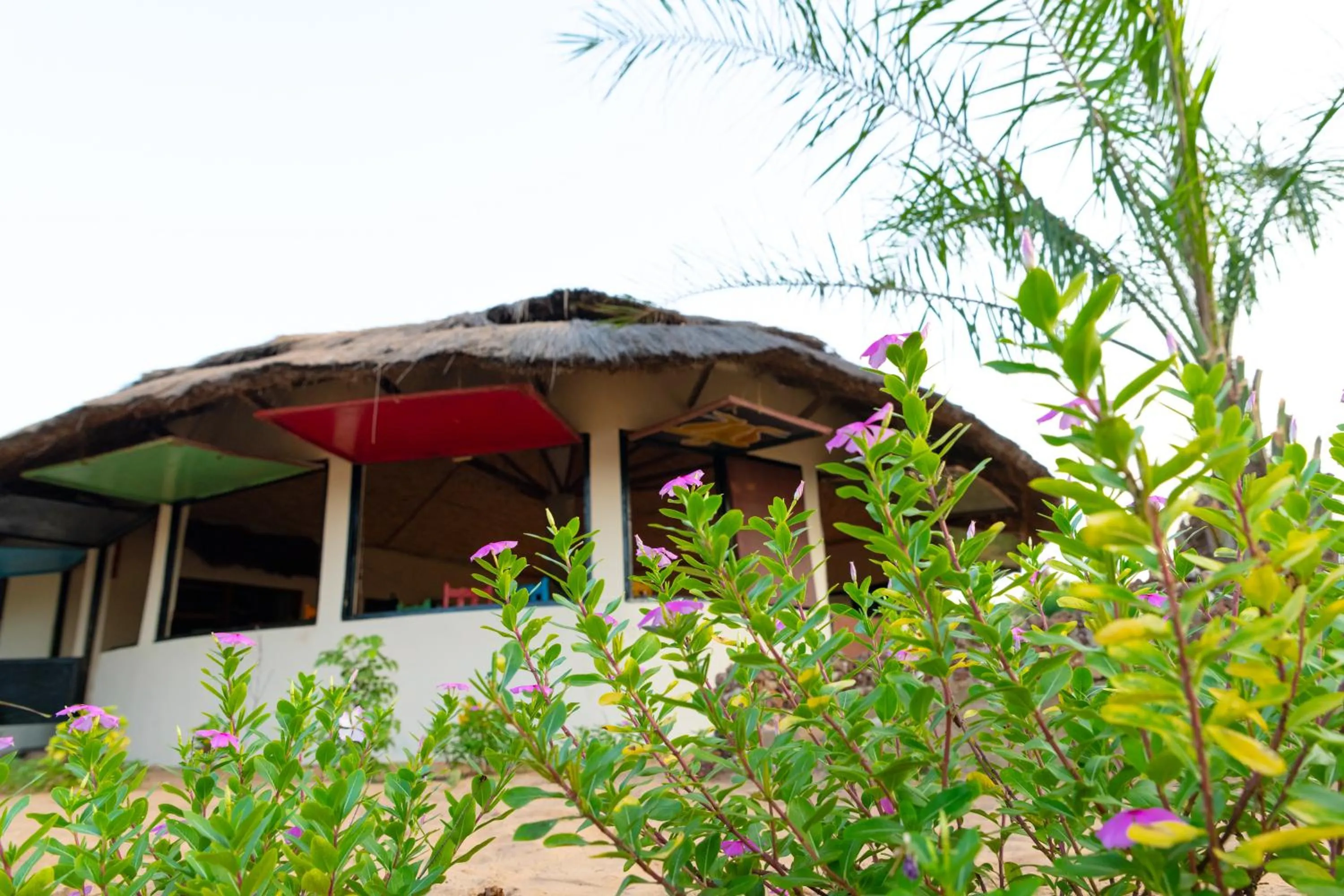 Restaurant/places to eat in Tamba Kuruba Eco-lodge