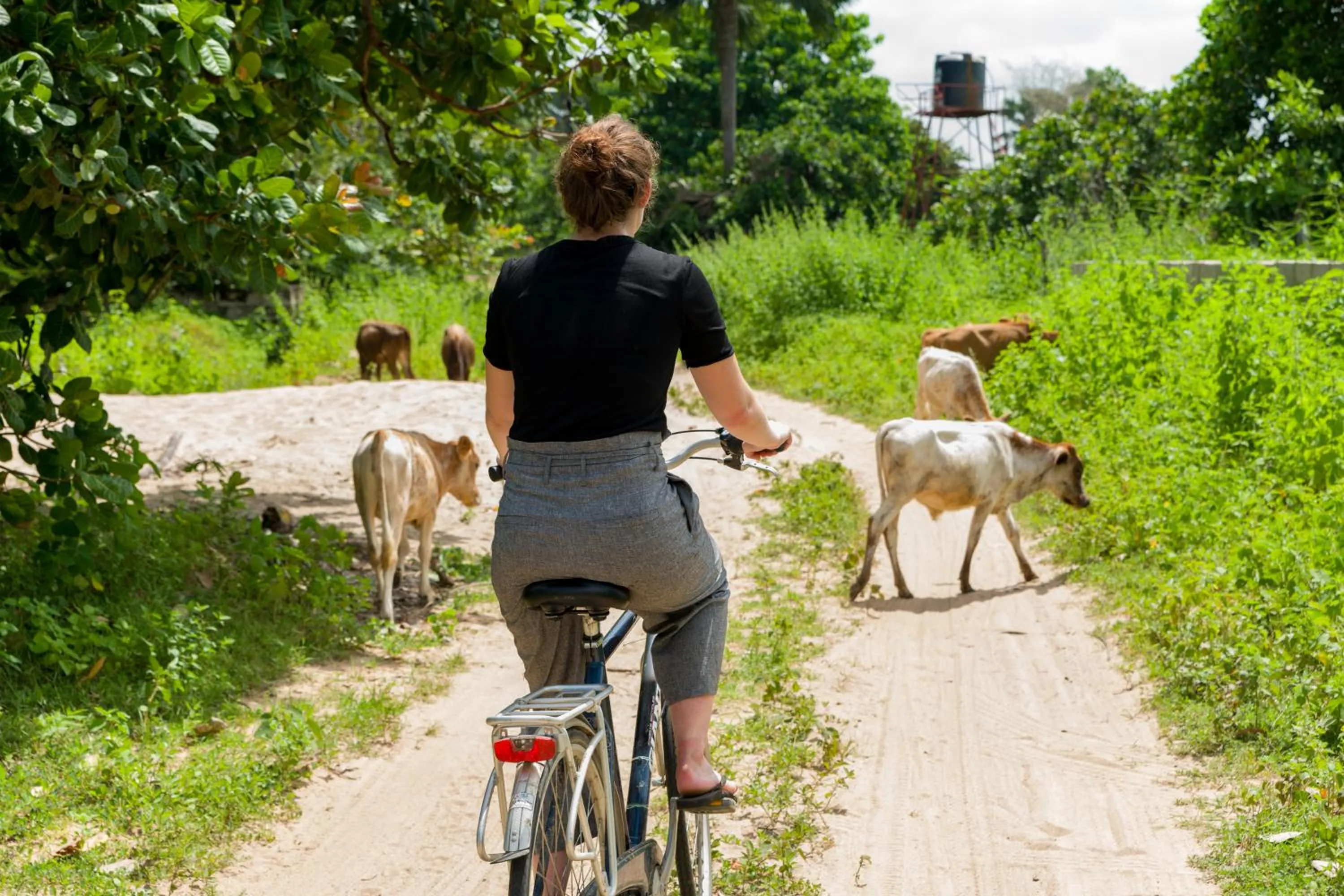 Day in Tamba Kuruba Eco-lodge