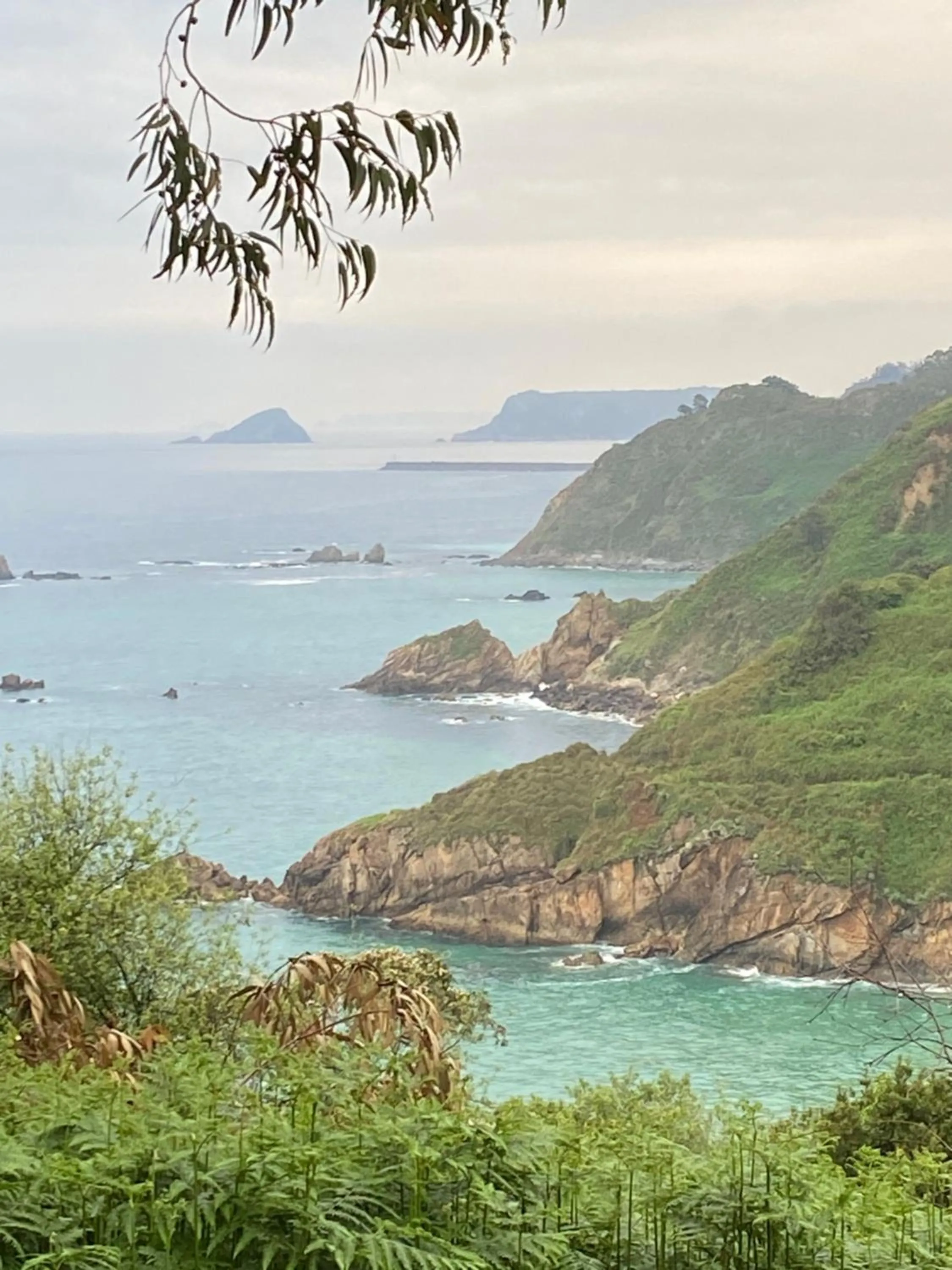 Natural landscape in Hotel Rural Playa de Aguilar